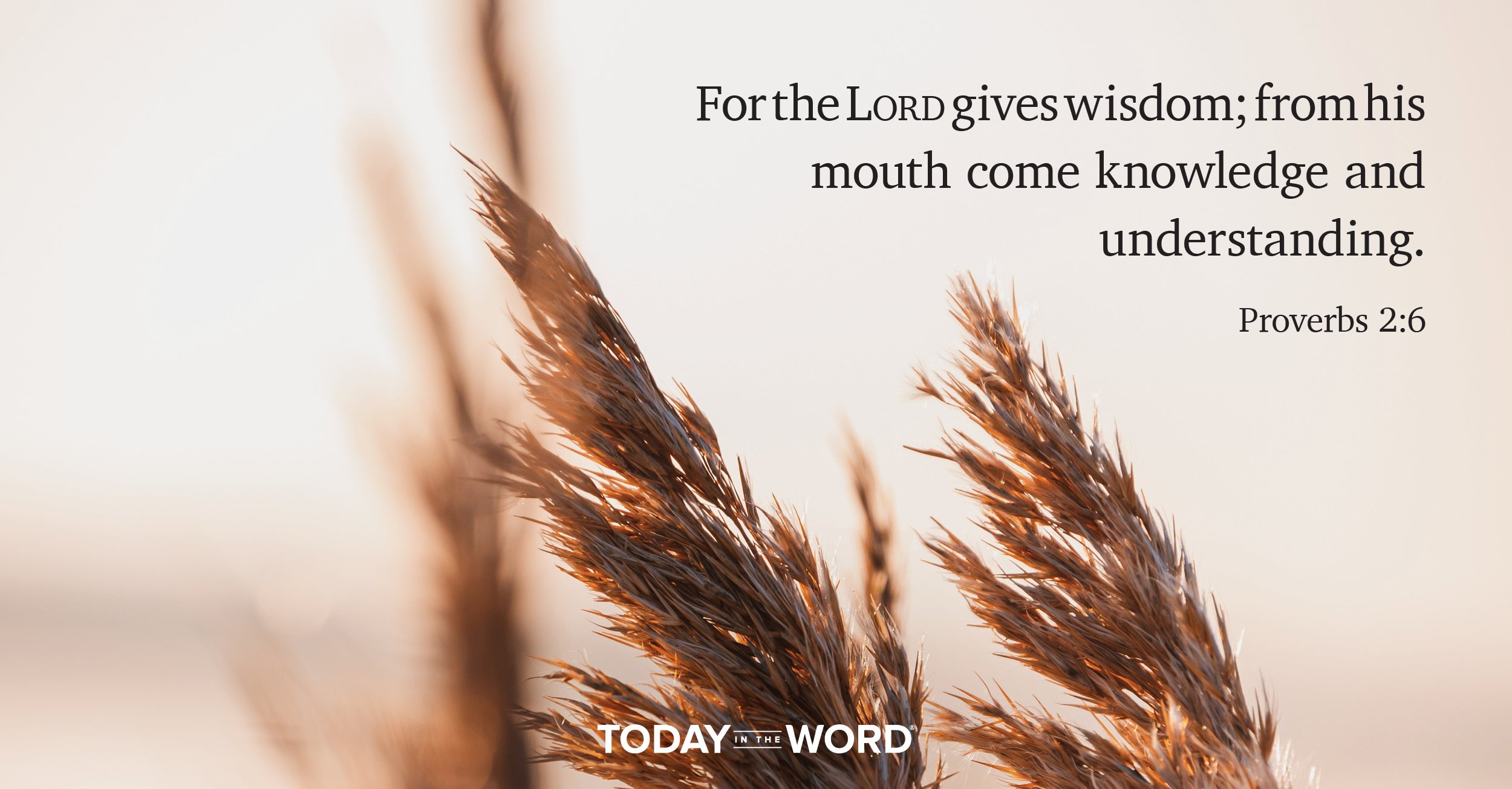 Daily Devotional Bible Verse | Proverbs 2:6 For the Lord gives wisdom; from his mouth come knowledge and understanding.