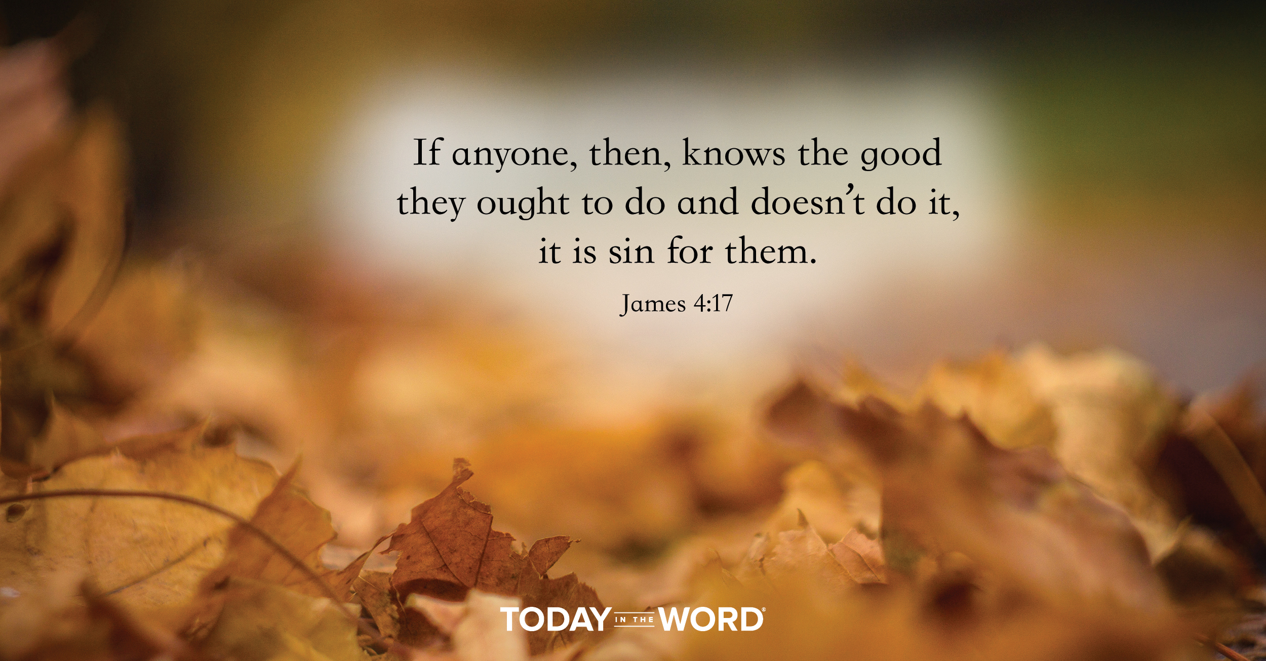 Daily Devotional Bible Verse | James 4:17 If anyone, then, knows the good they ought to do and doesn't do it, it is sin for them.