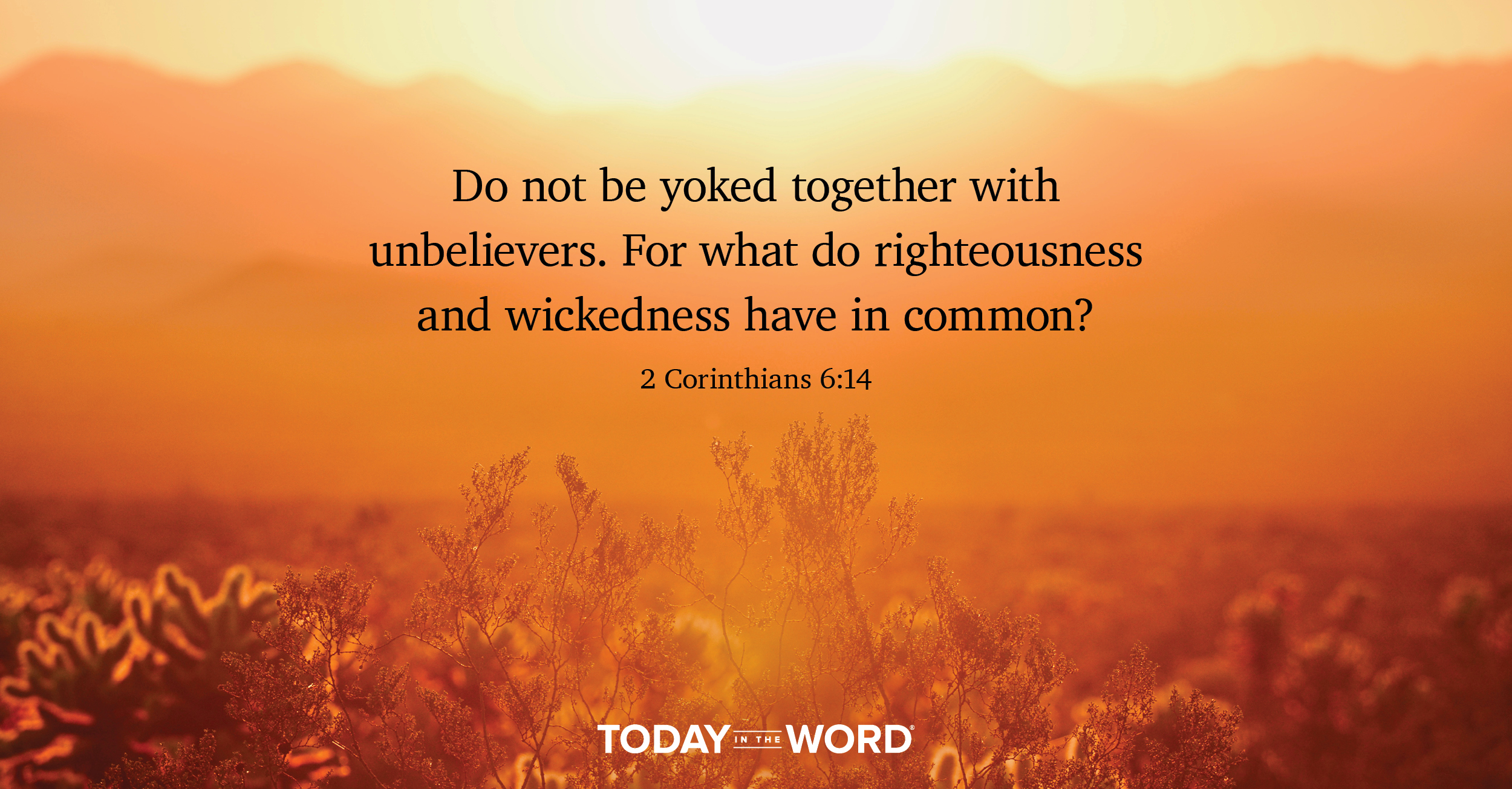 Daily Devotional Bible Verse | 2 Corinthians 6:14 Do not be yoked together with unbelievers. For what do righteousness and wickedness have in common?