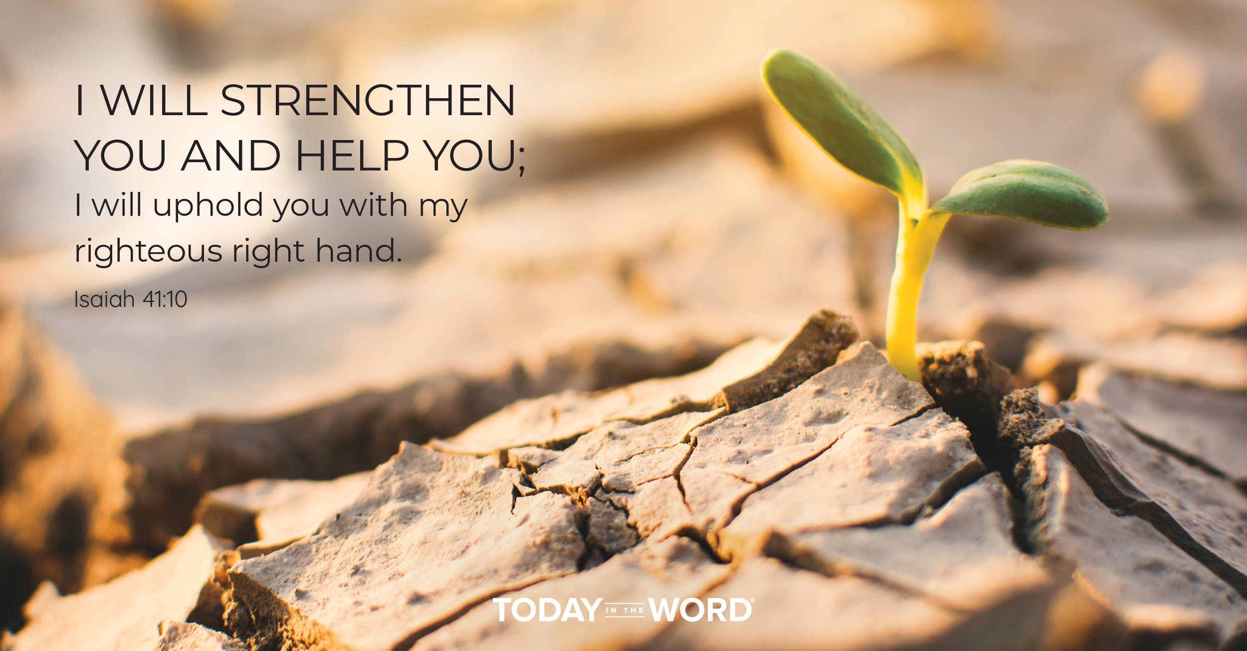 Daily Devotional Bible Verse | Isaiah 41:10 I will strengthen you and help you; I will uphold you with my righteous right hand.