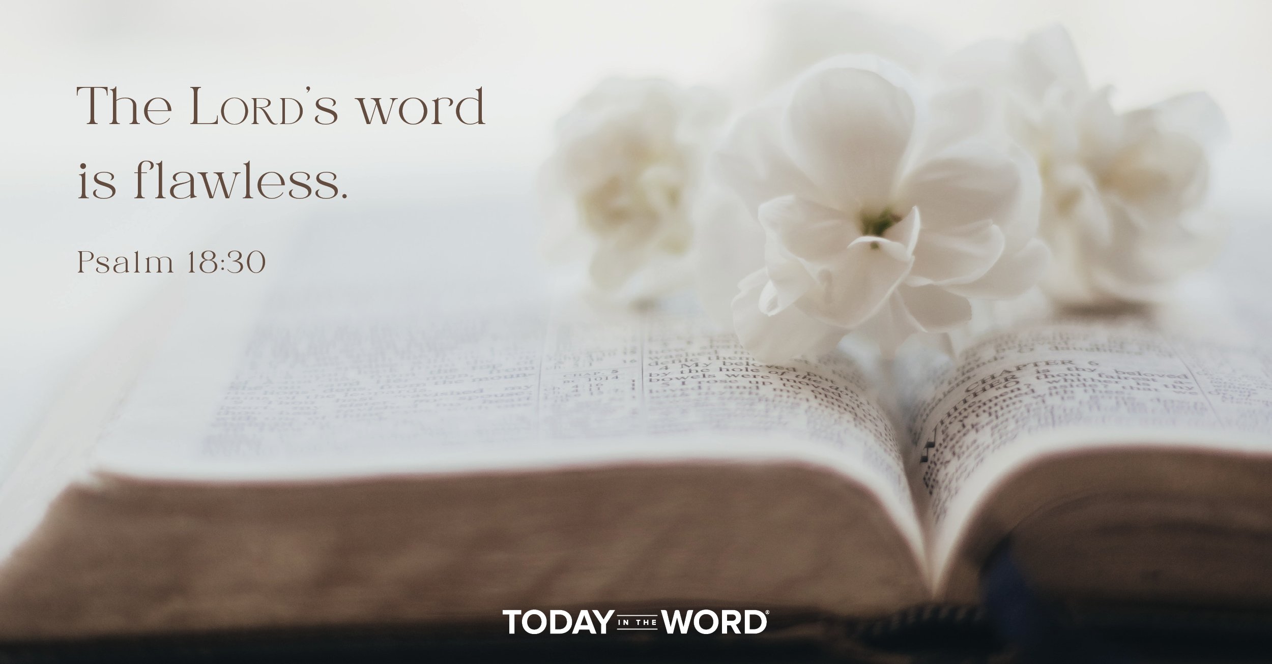 Daily Devotional Bible Verse | Psalm 18:30 The Lord's word is flawless.