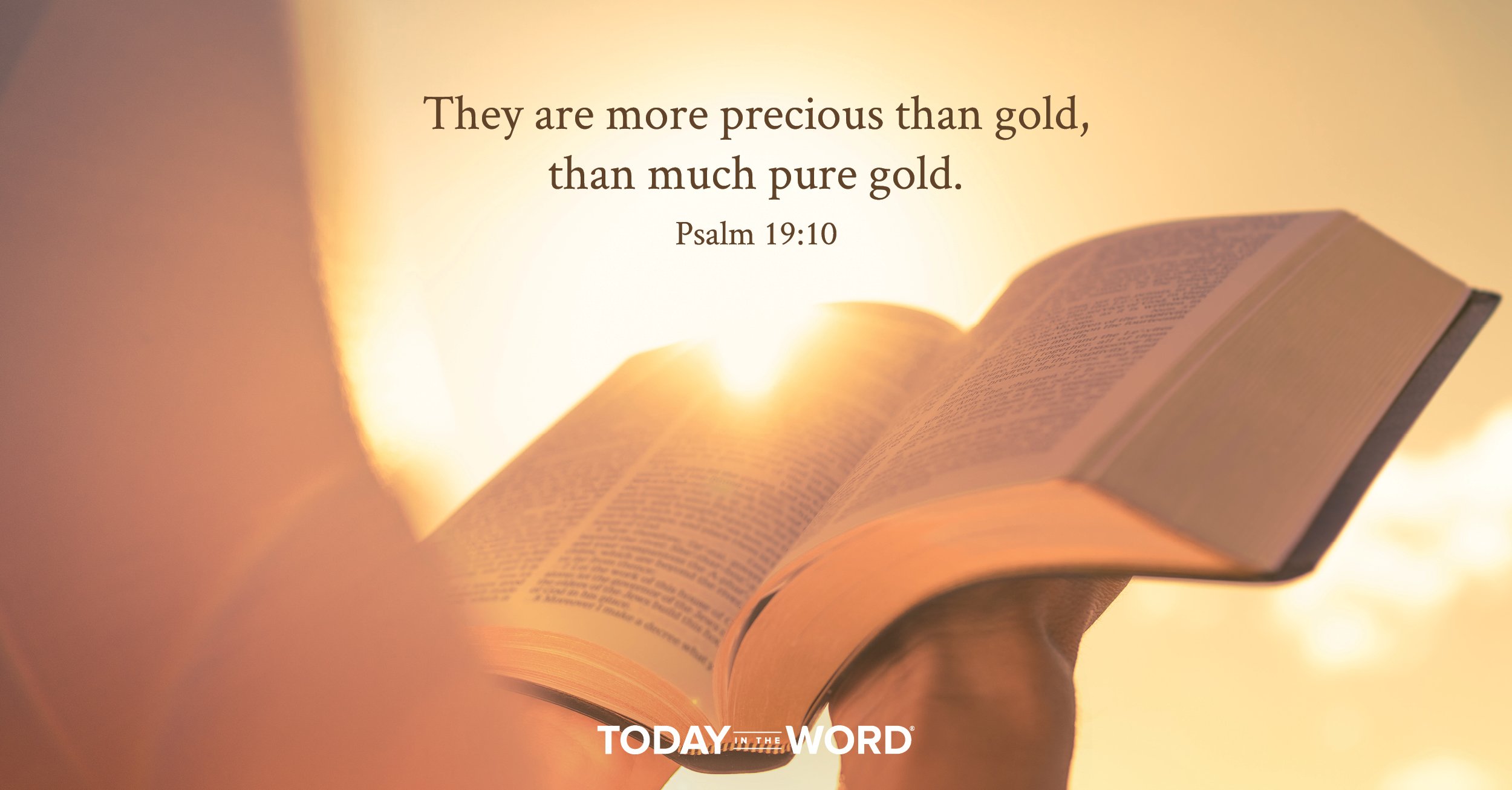 Daily Devotional Bible Verse | Psalm 19:10 They are more precious than gold, than much pure gold.