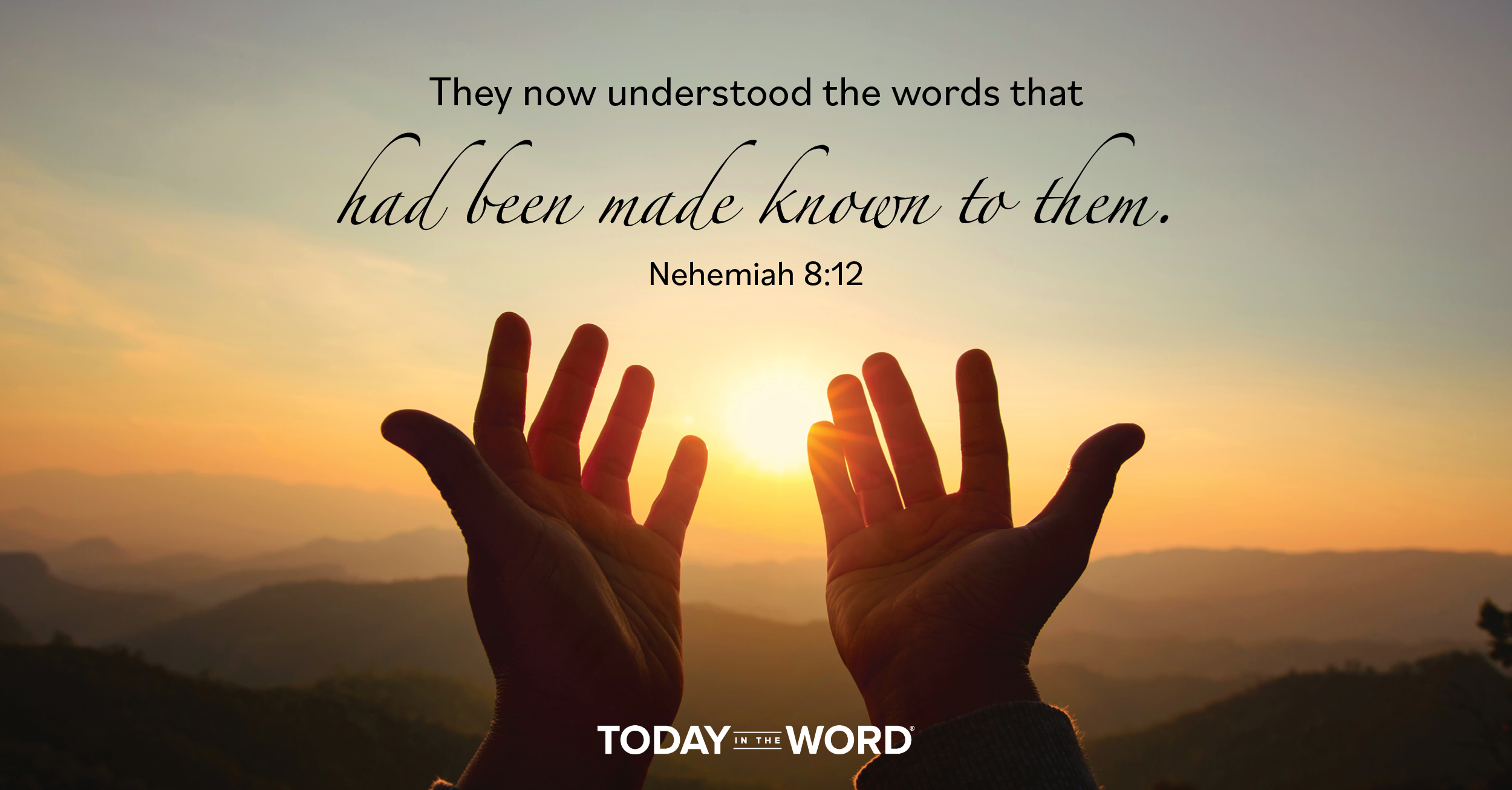 Daily Devotional Bible Verse | Nehemiah 8:12 They now understood the words that had been made known to them.