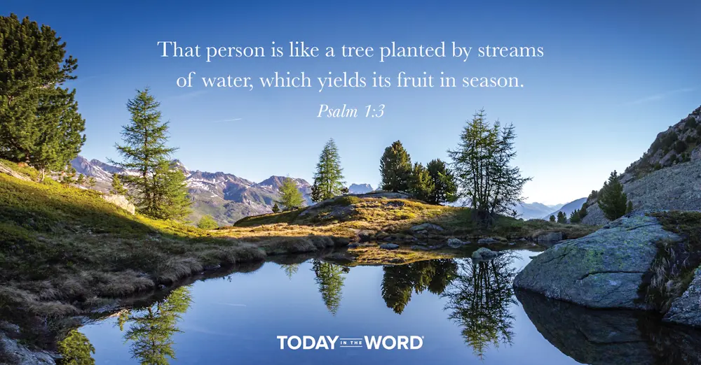 Daily Devotional Bible Verse | Psalm 1:3 That person is like a tree planted by streams of water, which yields its fruit in season.