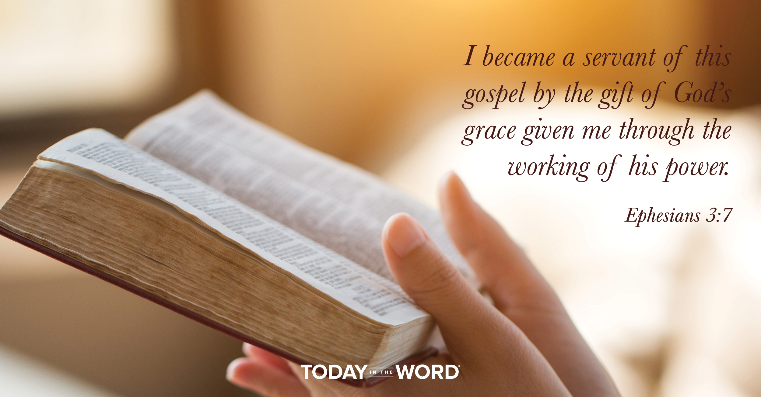 Daily Devotional Bible Verse | Ephesians 3:7 I became a servant of this gospel by the gift of God's grace given me through the working of his power.