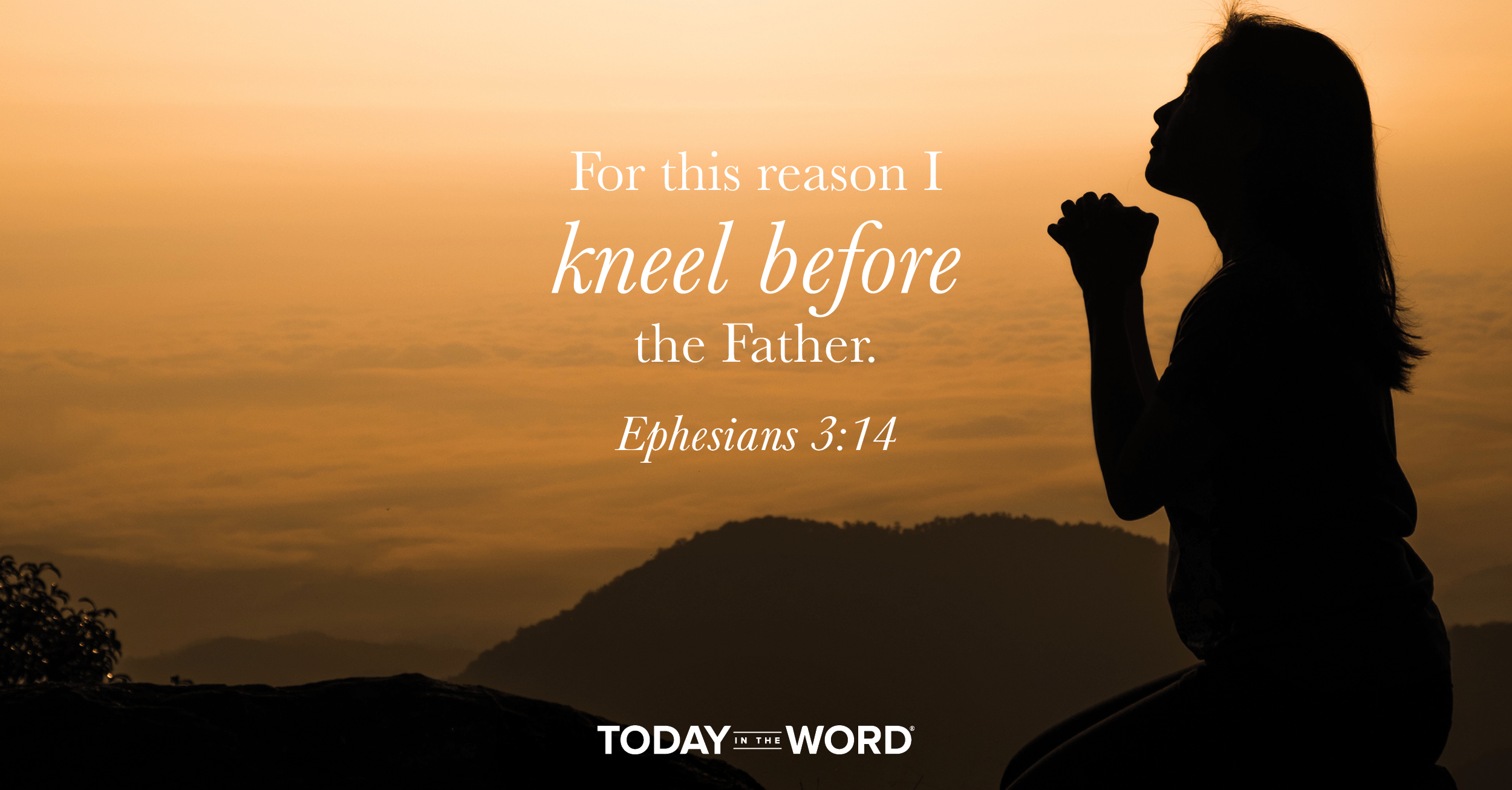 Daily Devotional Bible Verse | Ephesians 3:14 For this reason I kneel before the Father.