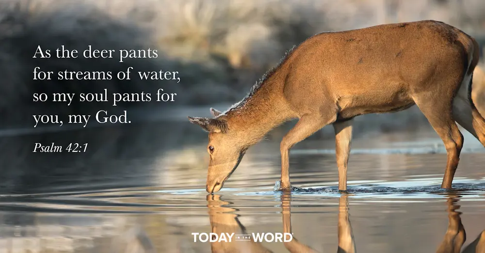 Daily Devotional Bible Verse | Psalm 42:1 As the deer pants for streams of water, so my soul pants for you, my God.