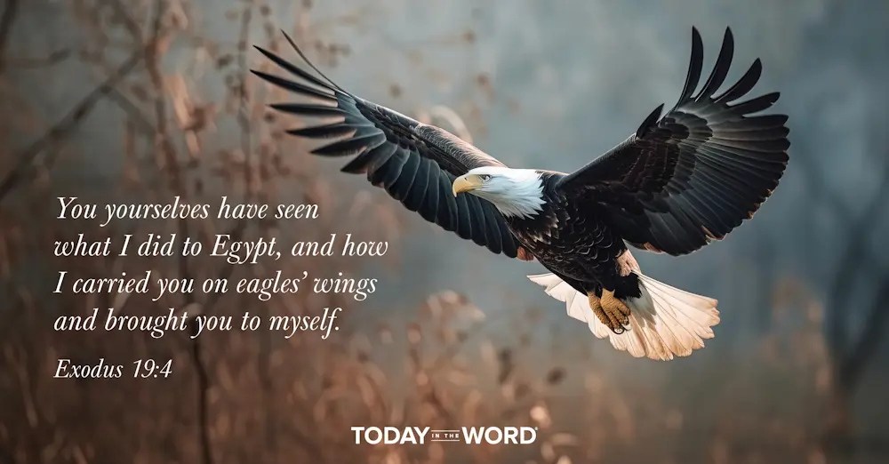 Daily Devotional Bible Verse | Exodus 19:4 You yourselves have seen what I did to Egypt, and how I carried you on eagles' wings and brought you to myself.