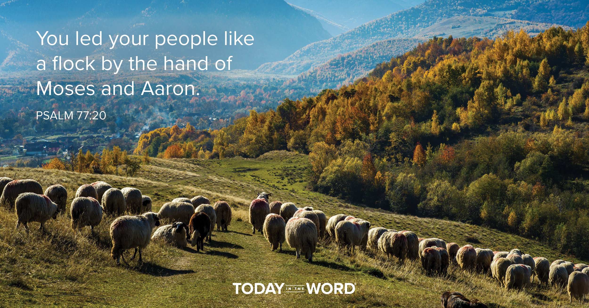 Daily Devotional Bible Verse | Psalm 77:20 You led your people like a flock by the hand of Moses and Aaron.