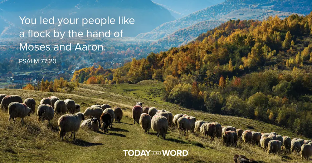 Daily Devotional Bible Verse | Psalm 77:20 You led your people like a flock by the hand of Moses and Aaron.