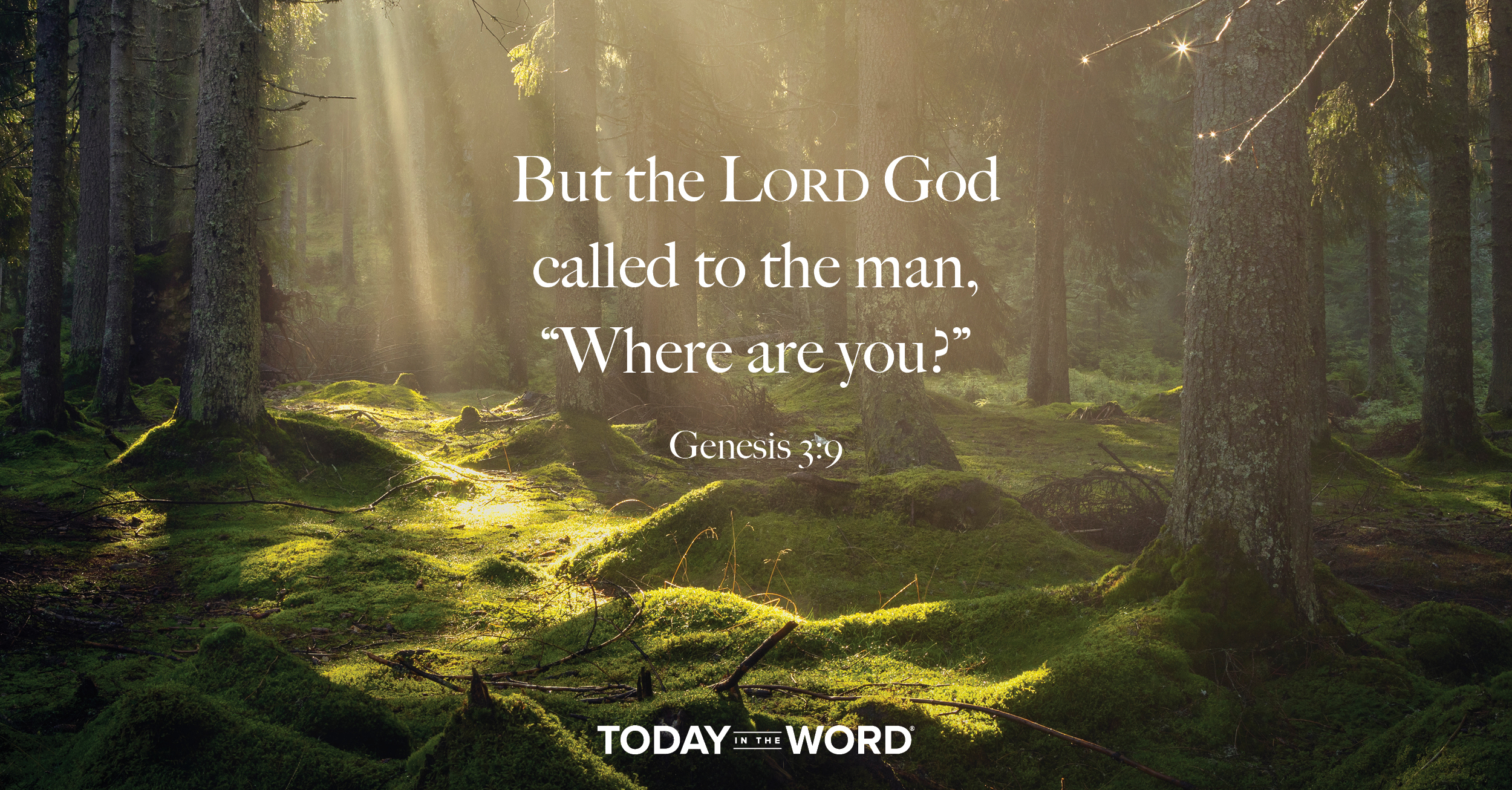 Daily Devotional Bible Verse | Genesis 3:9 But the LORD God call to the man, "Where are you?"