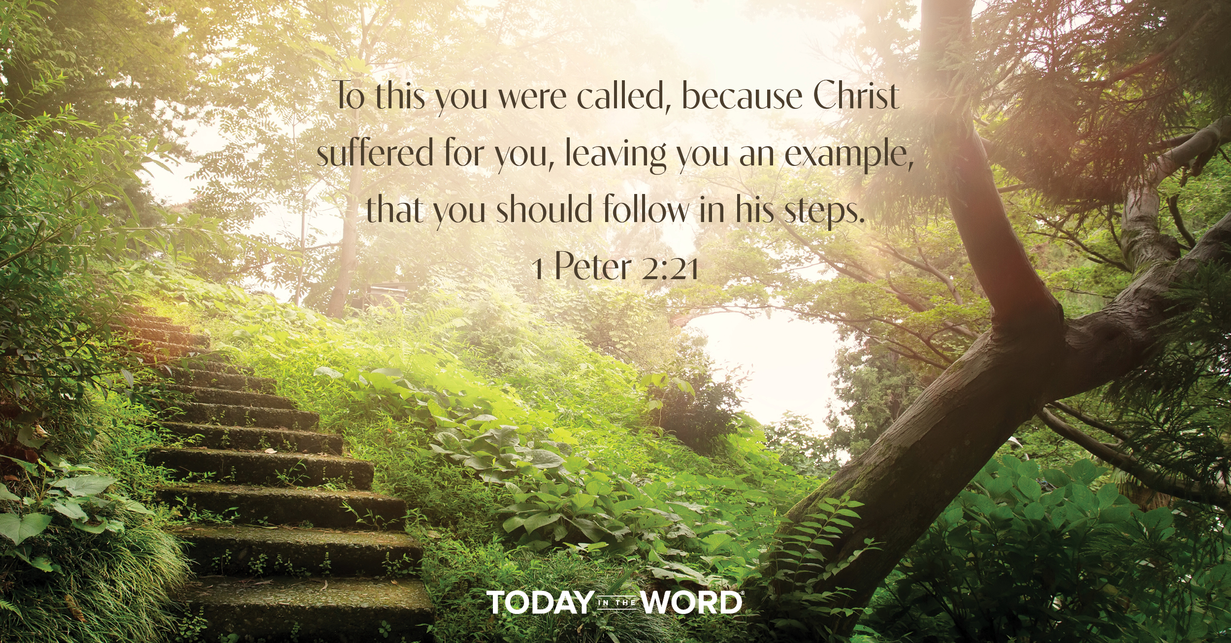 Daily Devotional Bible Verse | 1 Peter 2:21 To this you were called, because Christ suffered for you, leaving you an example, that you should follow in his steps.