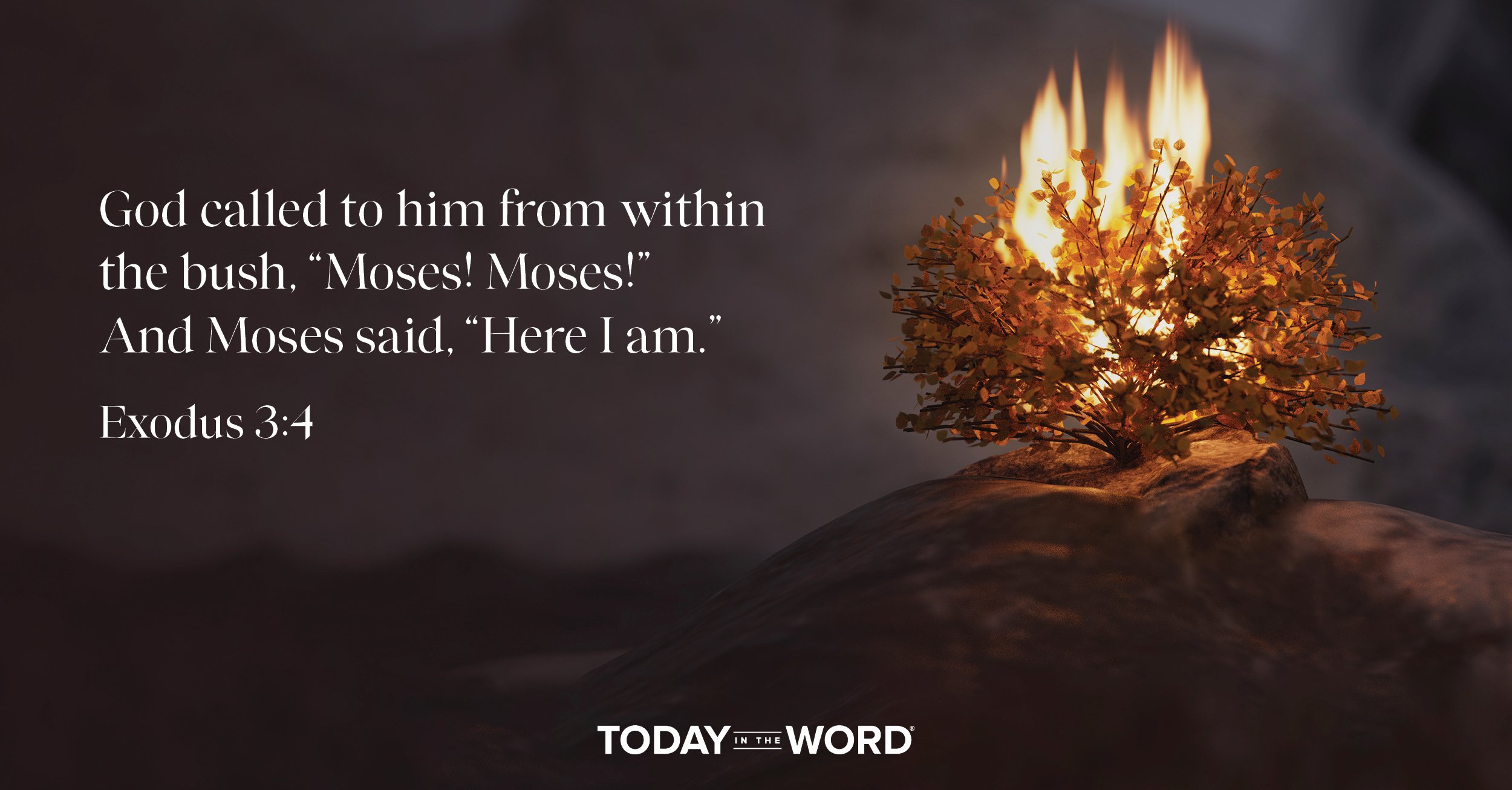 Daily Devotional Bible Verse | Exodus 3:4 God called to him from within the bush, "Moses! Moses!" And Moses said, "Here I am."