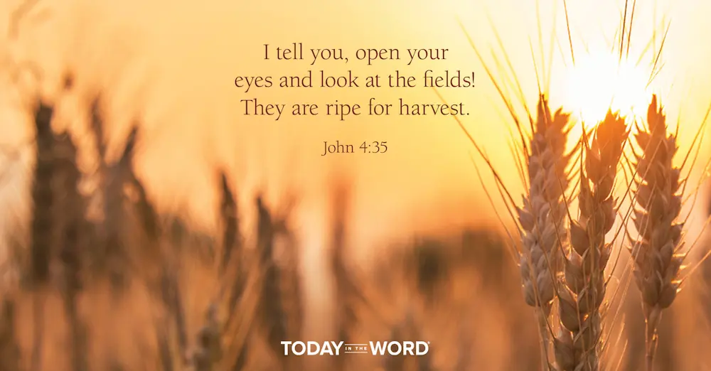 Daily Devotional Bible Verse | John 4:35 I tell you, open your eyes and look at the fields! They are ripe for harvest.