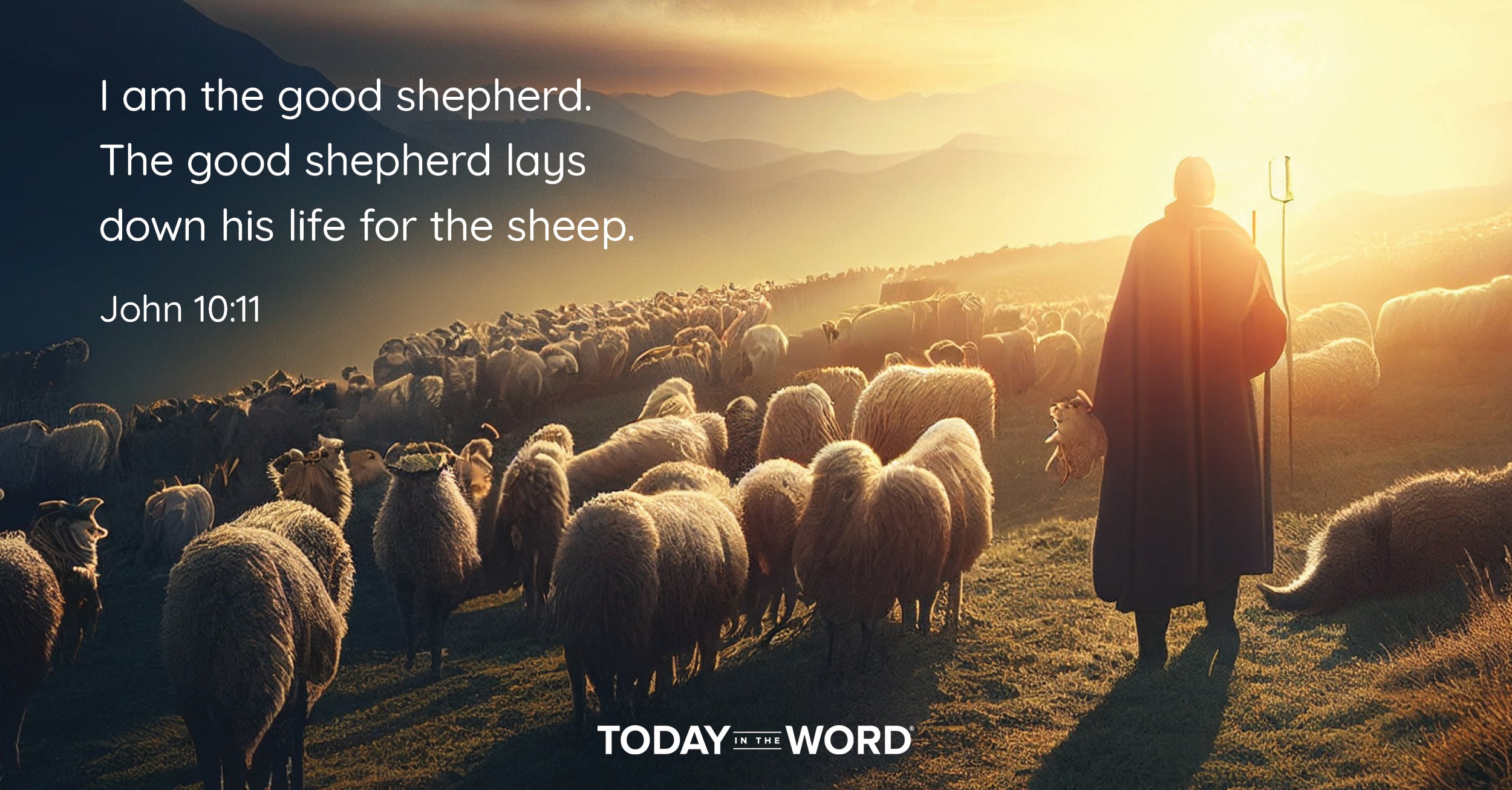 Daily Devotional Bible Verse | John 10:11 I am the good shepherd. The good shepherd lays down his life for the sheep.