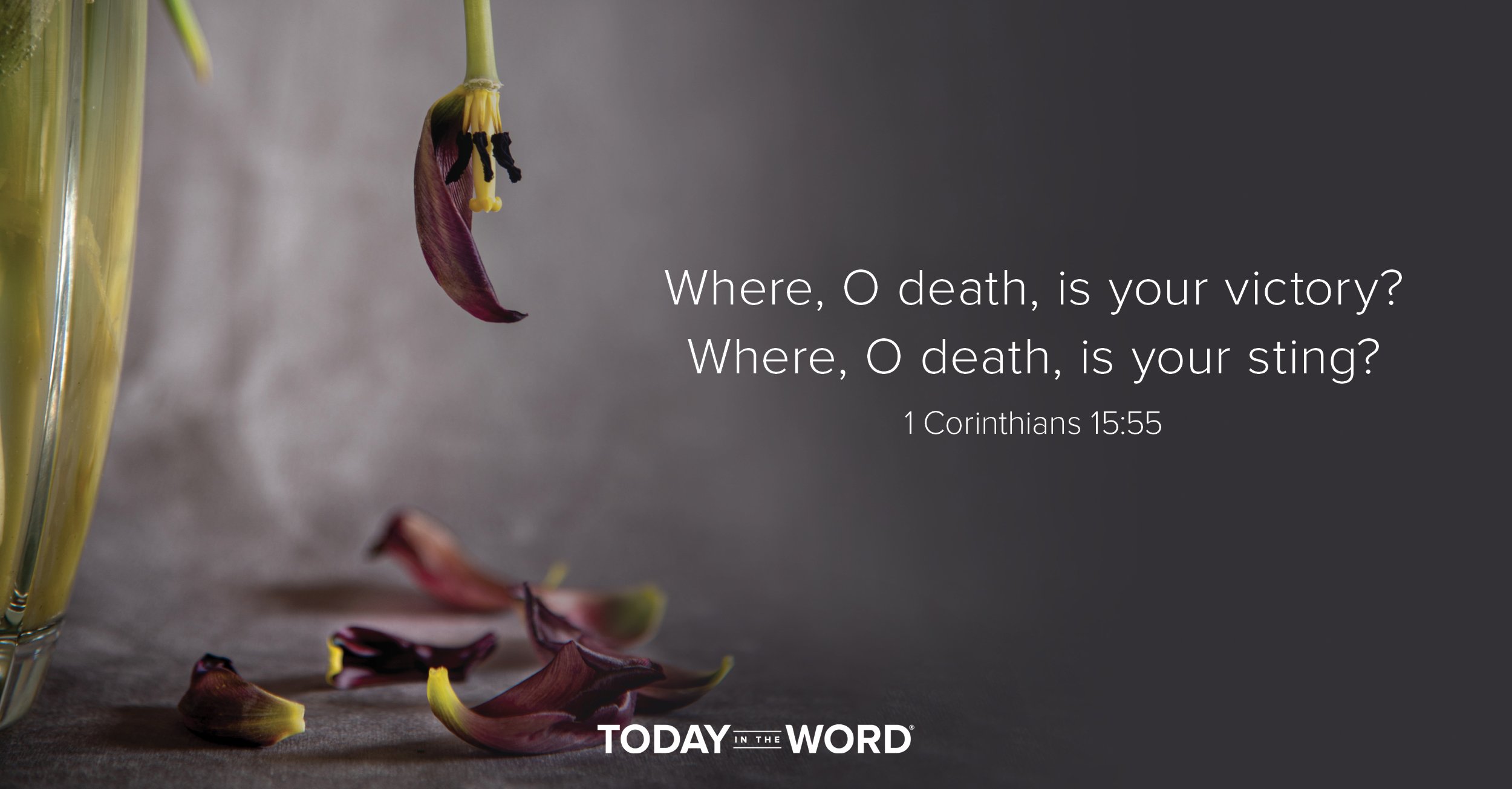 Daily Devotional Bible Verse | 1 Corinthians 15:55 Where, O death, is your victory? Where, O death, is your sting?