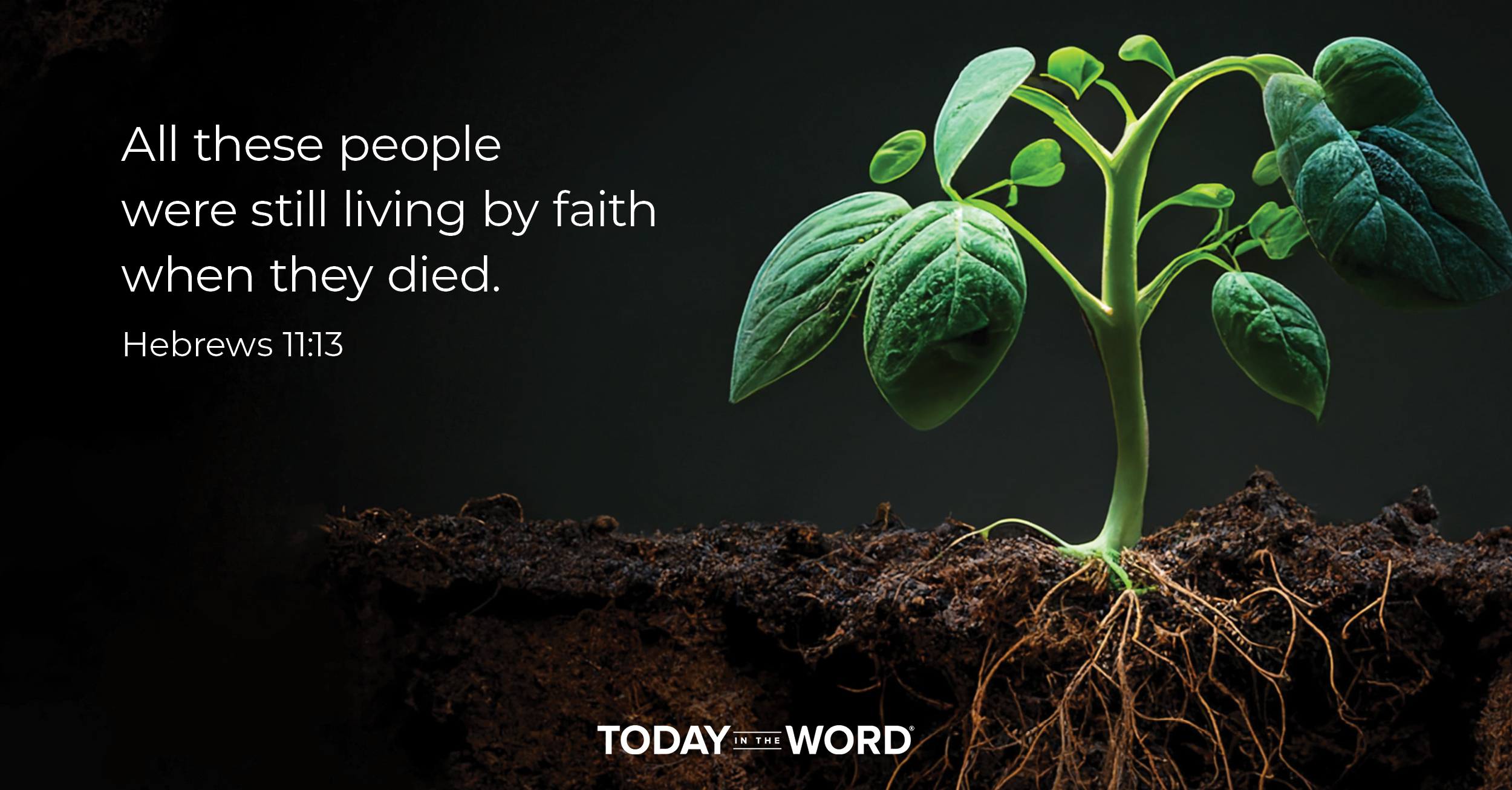 Daily Devotional Bible Verse | Hebrews 11:13 All these people were still living by faith when they died.