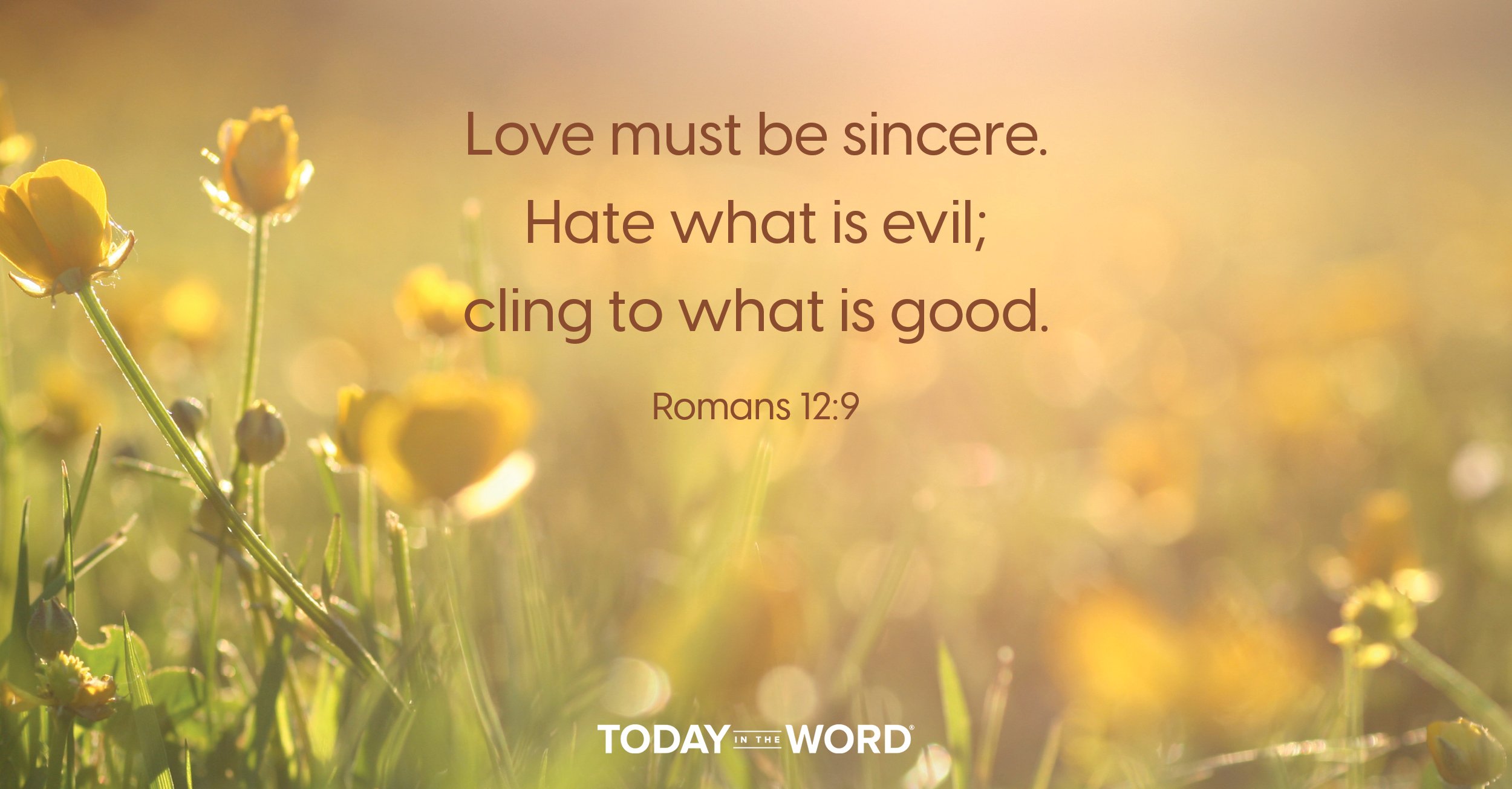 Daily Devotional Bible Verse | Romans 12:9 Love must be sincere. Hate what is evil; cling to what is good.