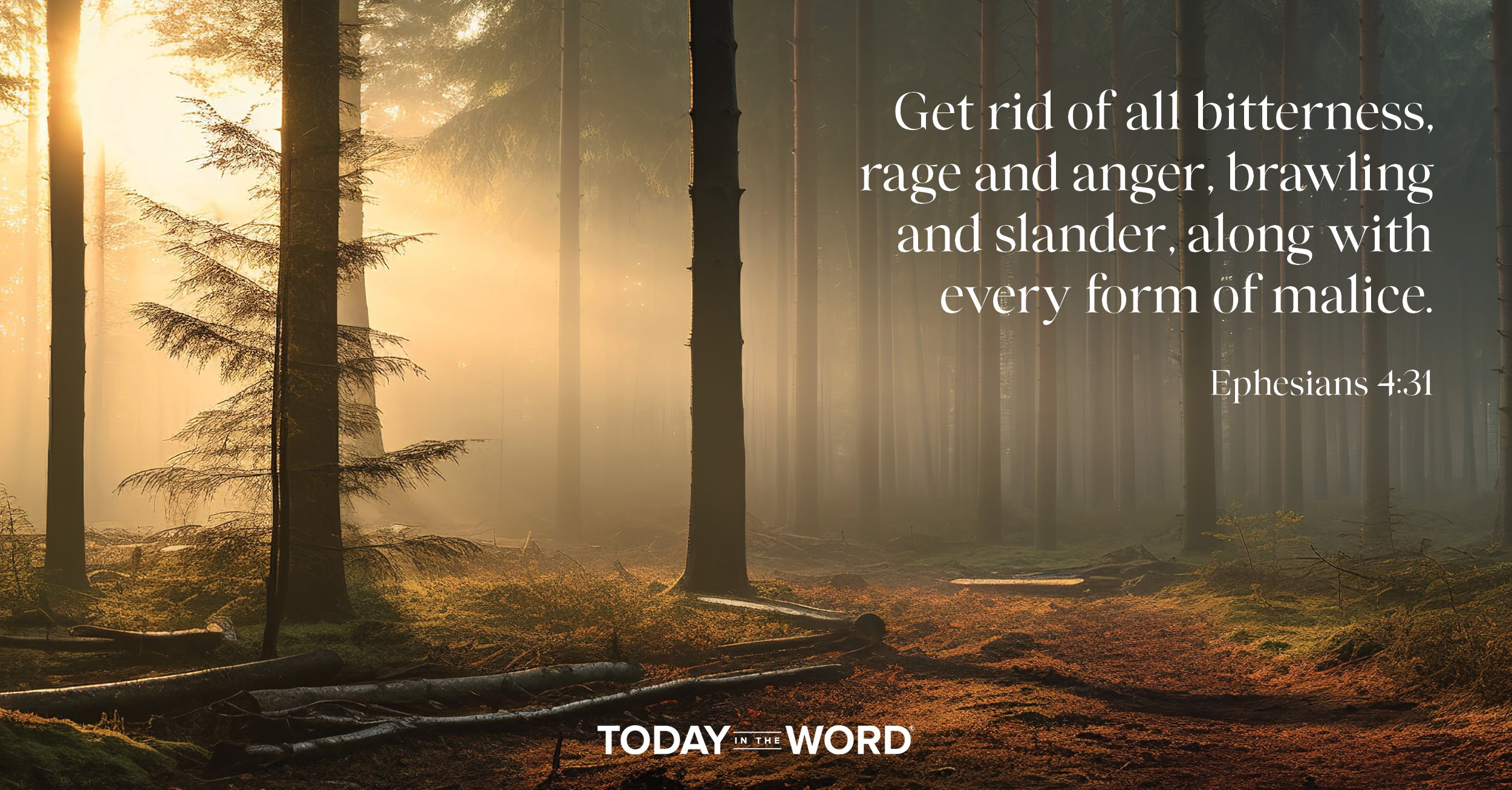 Daily Devotional Bible Verse | Ephesians 4:31 Get rid of all bitterness, rage and anger, brawling and slander, along with every form of malice. 