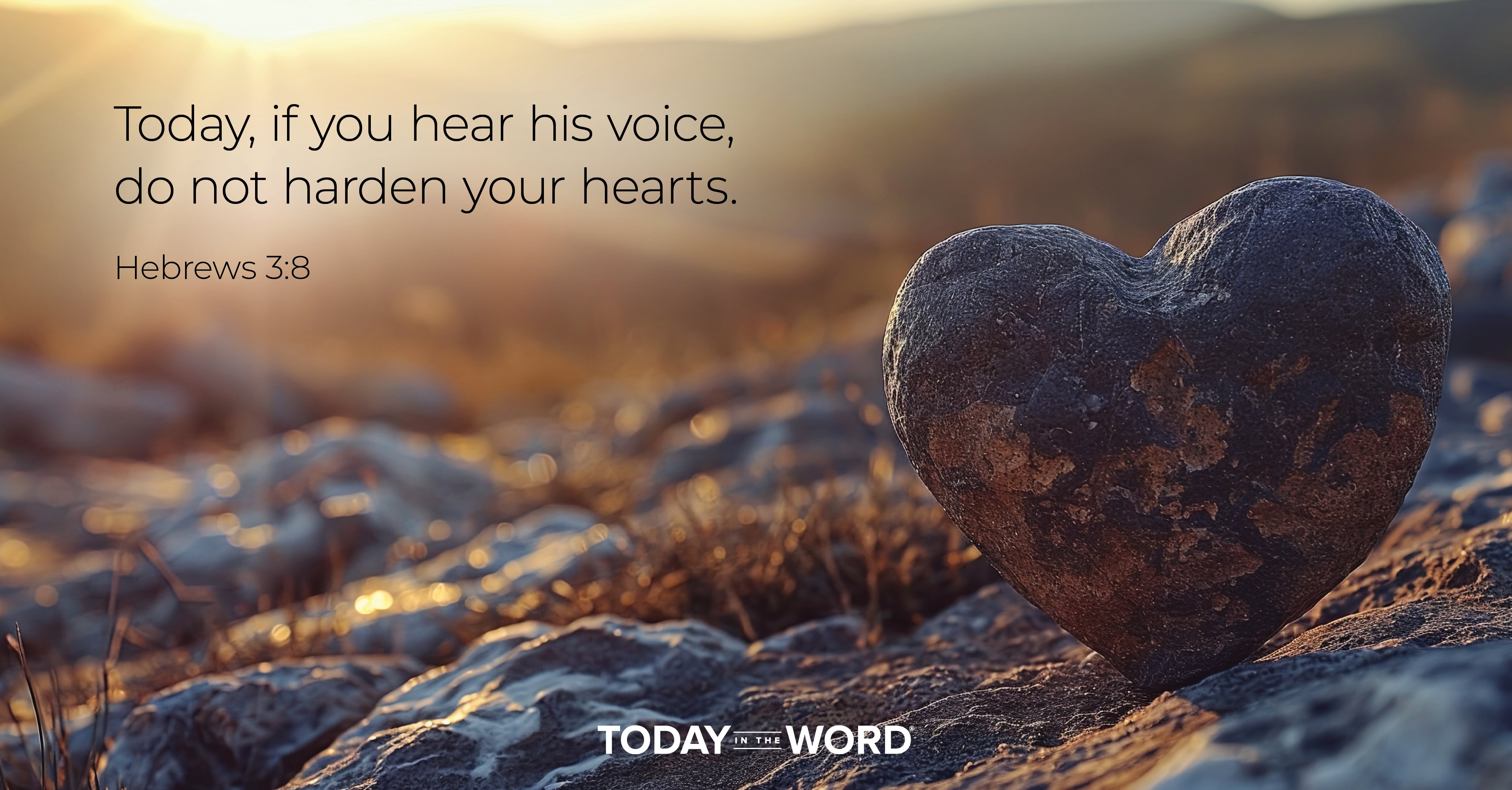 Daily Devotional Bible Verse | Hebrews 3:8 Today, if you hear his voice, do not harden your hearts.