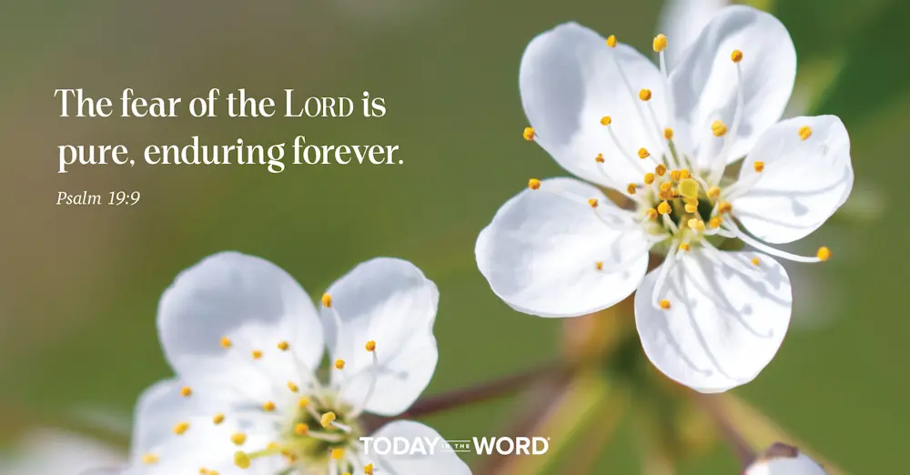 Daily Devotional Bible Verse | Psalm 19:9 The fear of the LORD is pure, enduring forever.