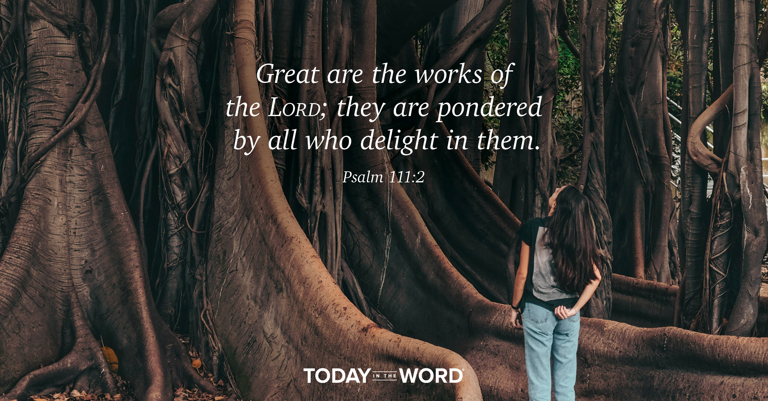 Daily Devotional Bible Verse | Psalm 111:2 Great are the works of the Lord; they are pondered by all who delight in them.