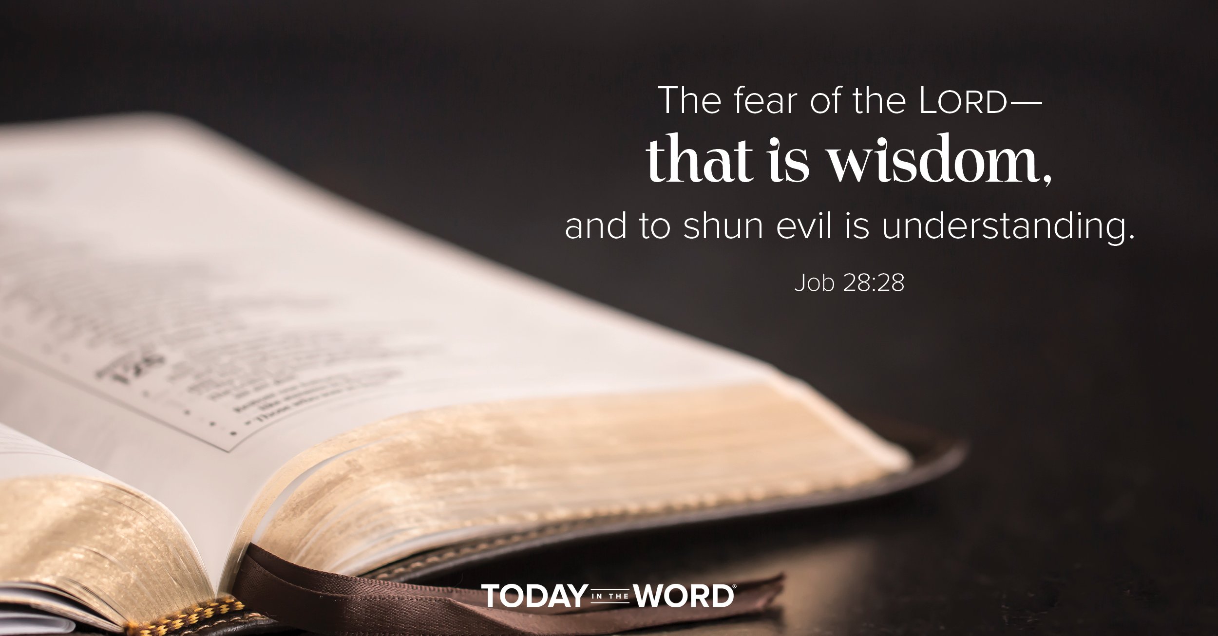 Daily Devotional Bible Verse | Job 28:28 The fear of the Lord - that is wisdom, and to shun evil is understanding.