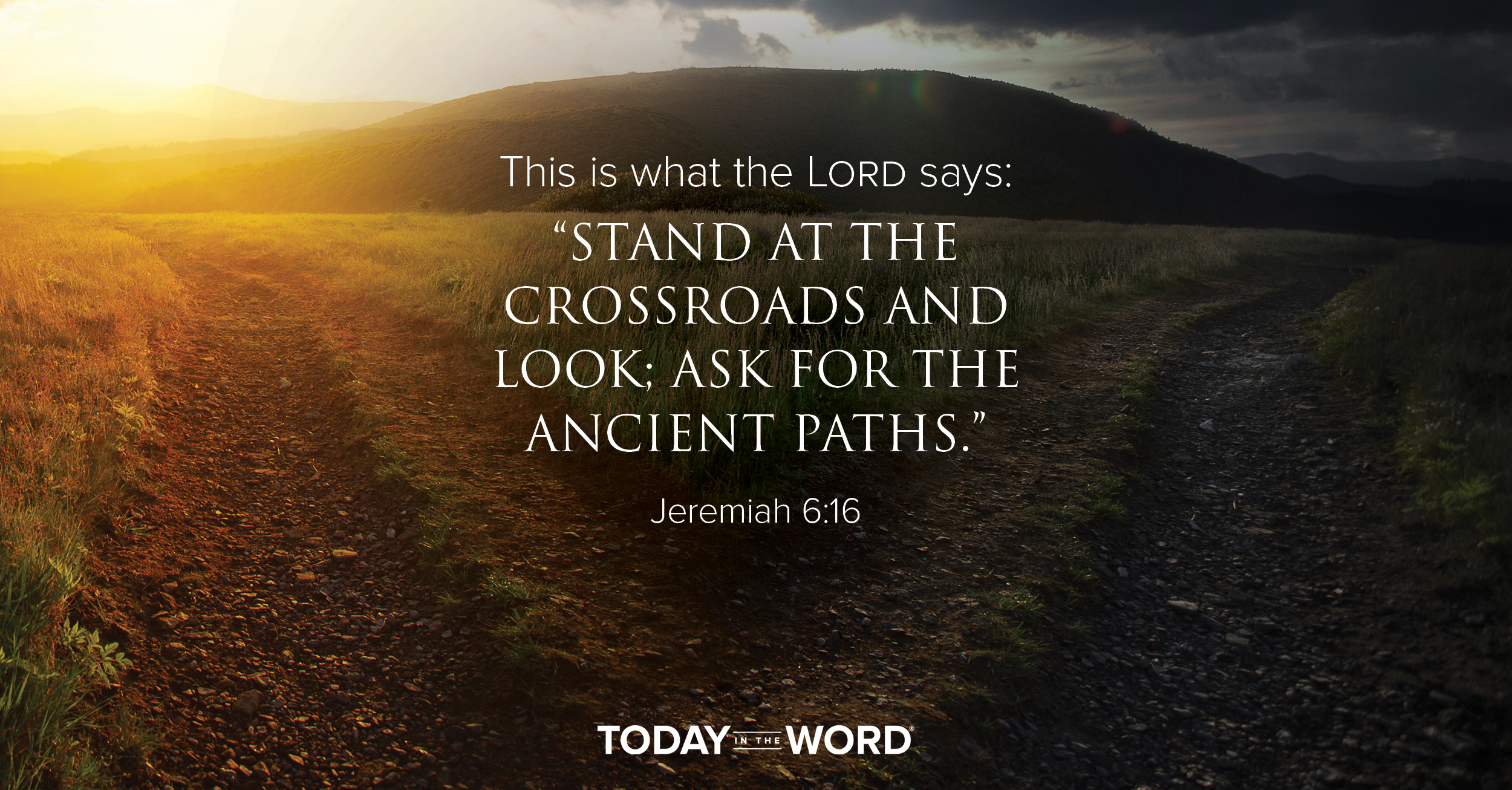 Daily Devotional Bible Verse | Jeremiah 6:16 This is what the Lord says: "Stand at the crossroads and look; ask for the ancient paths."