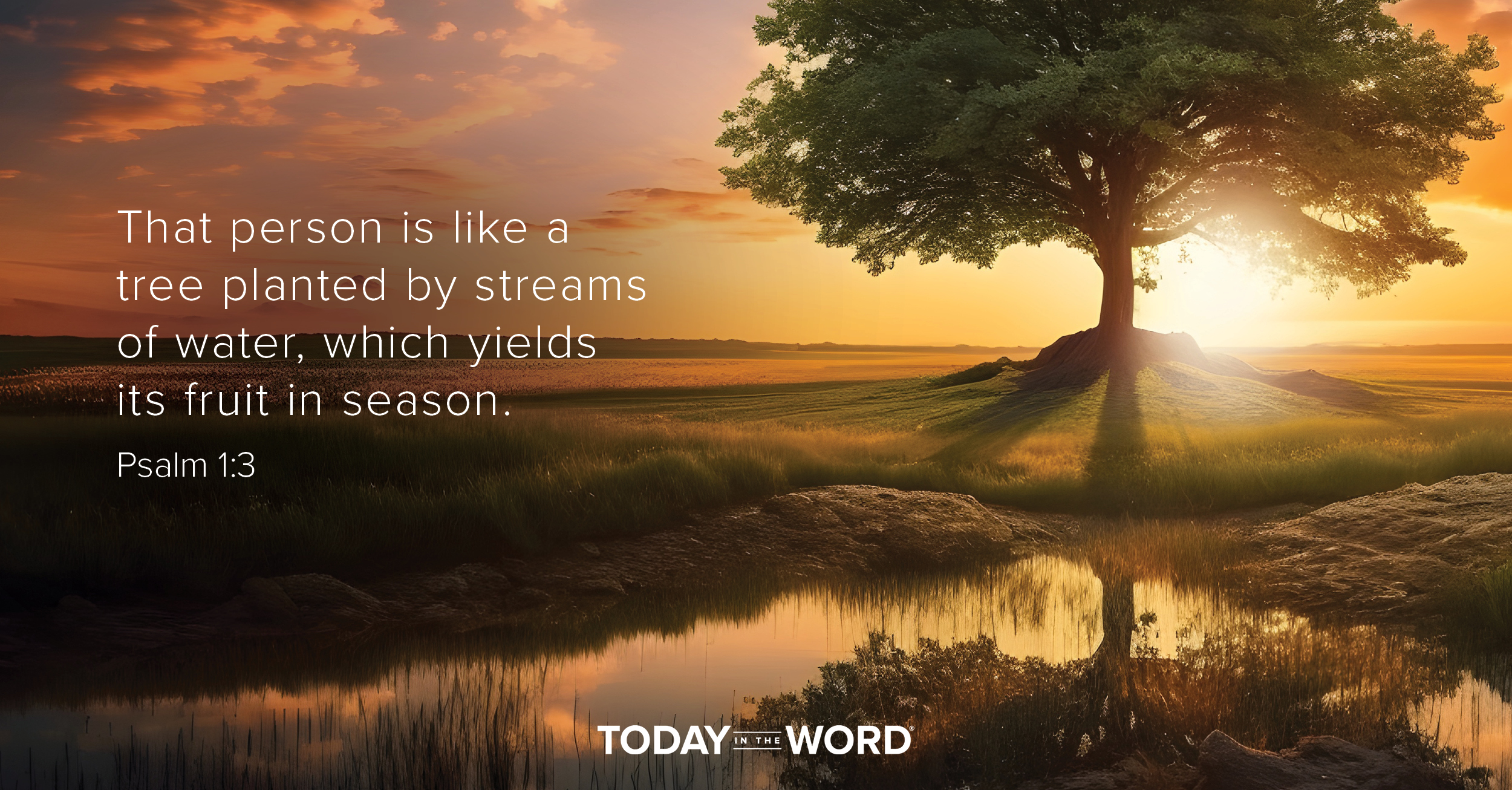 Daily Devotional Bible Verse | Psalm 1:3 That person is like a tree planted by streams of water, which yields its fruit in season.