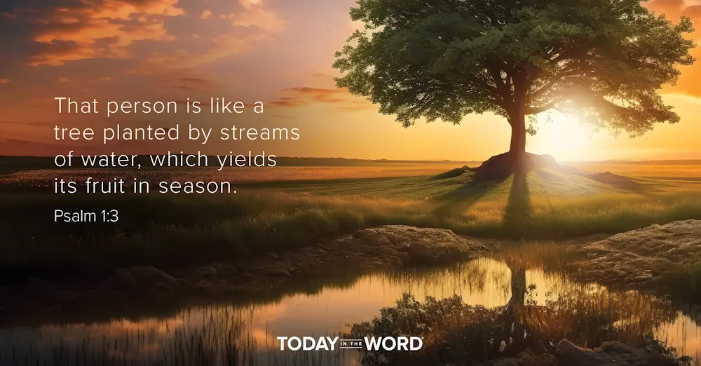 Daily Devotional Bible Verse | Psalm 1:3 That person is like a tree planted by streams of water, which yields its fruit in season.