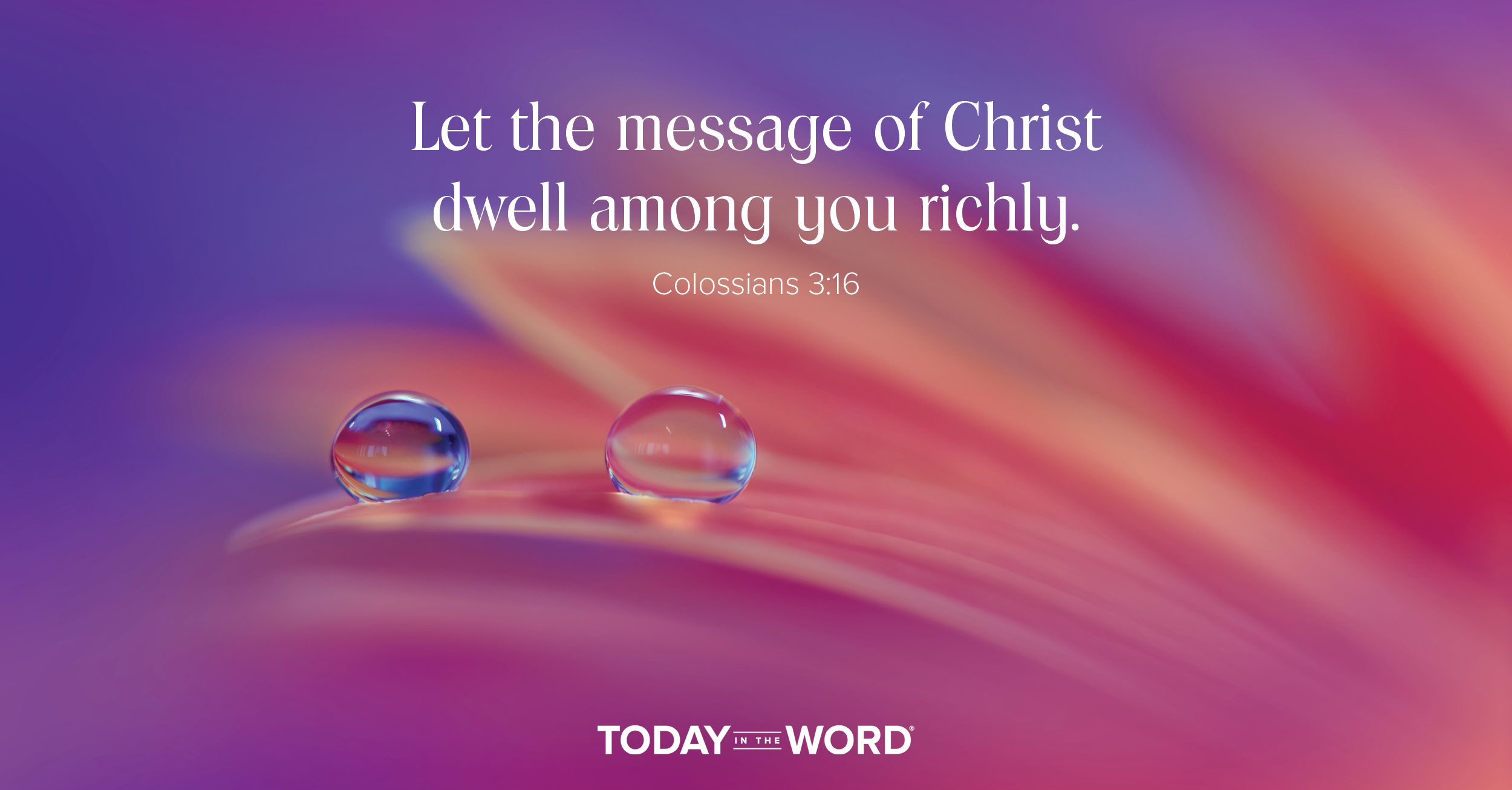 Daily Devotional Bible Verse | Colossians 3:16 Let the message of Christ dwell among you richly.