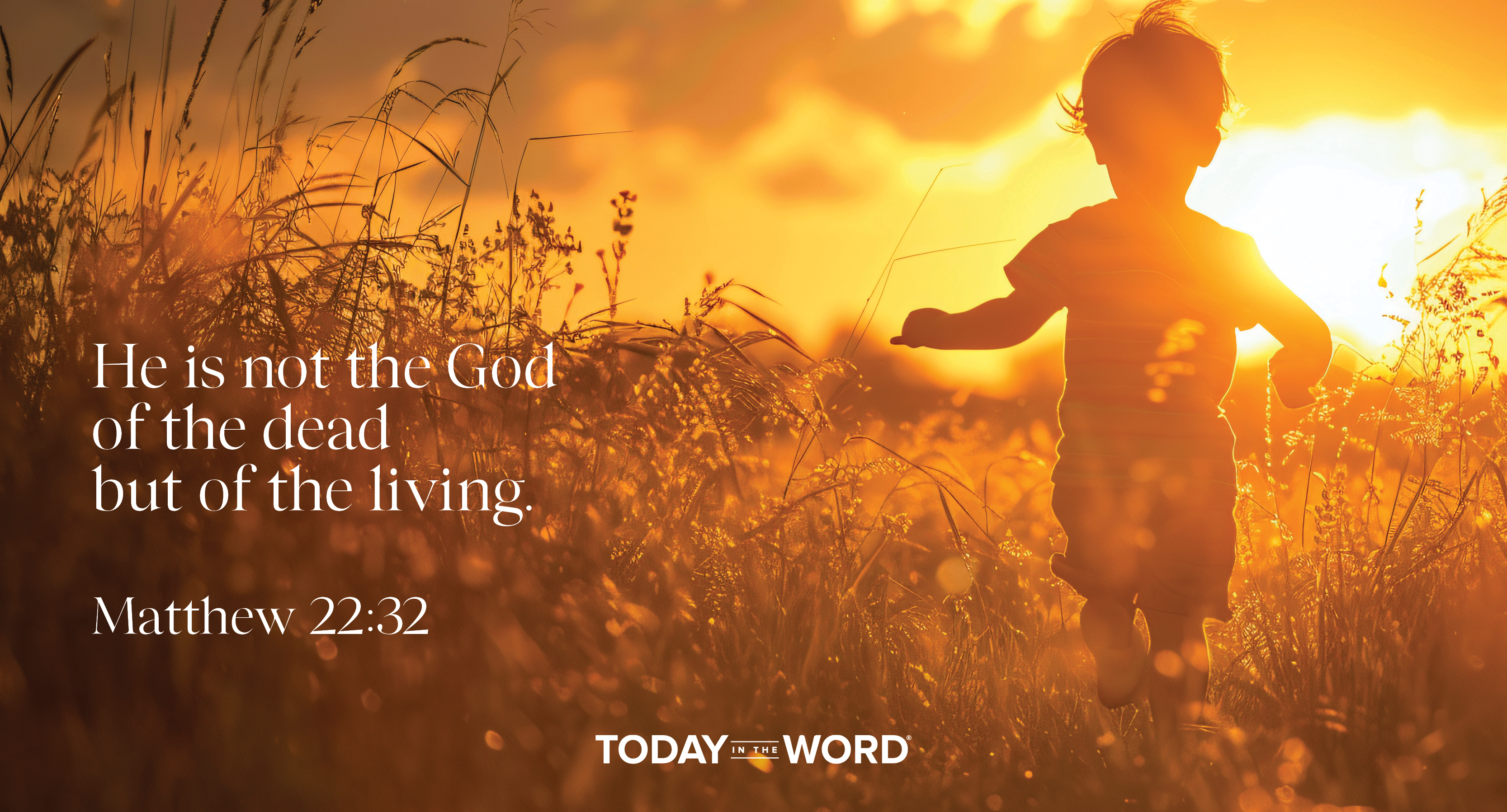 Daily Devotional Bible Verse | Matthew 22:32 He is not the God of the dead but of the living.