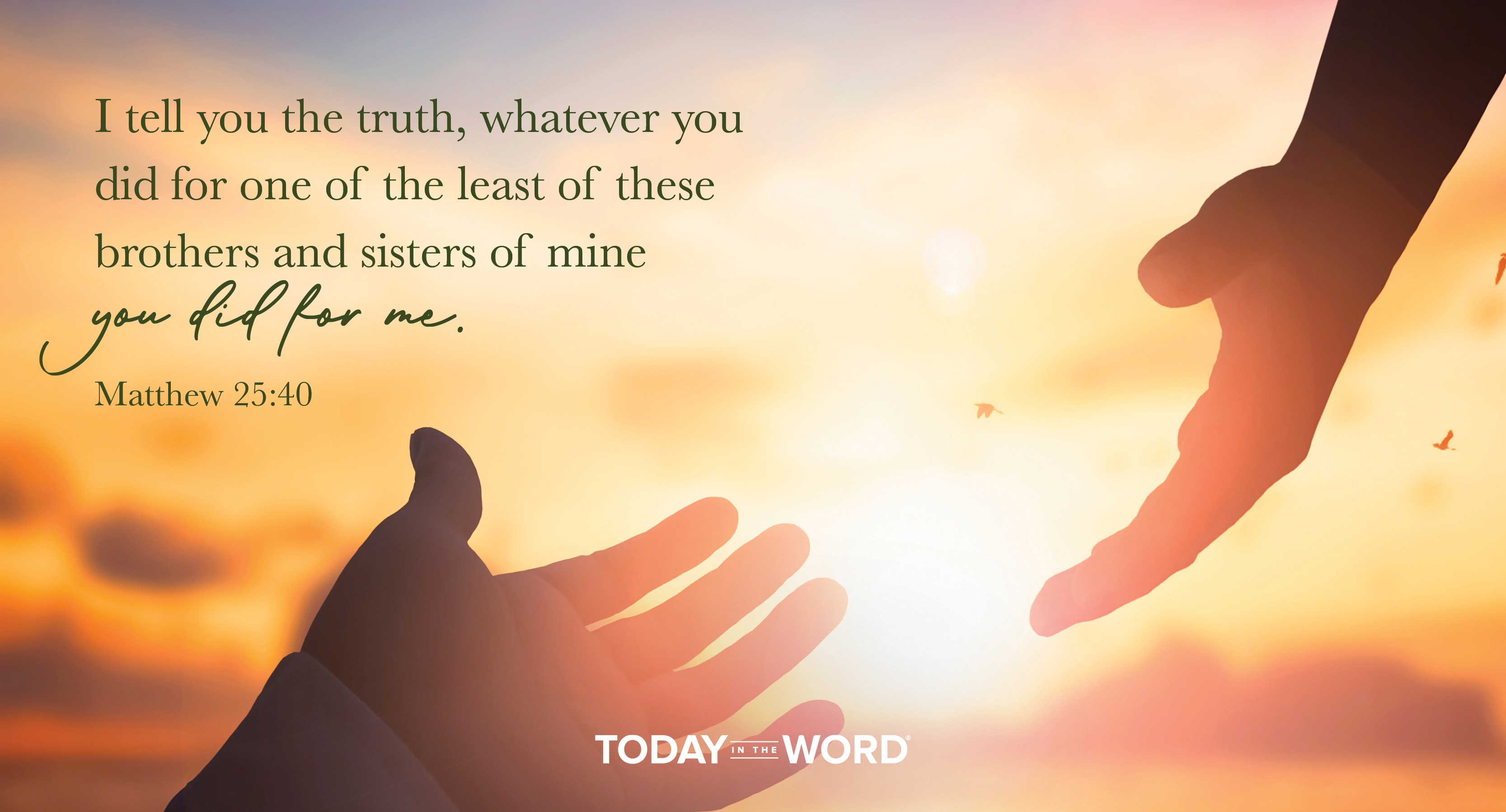 Daily Devotional Bible Verse | Matthew 25:40 I tell you the truth, whatever you did for one of the least of these brothers and sisters of mine you did for me.