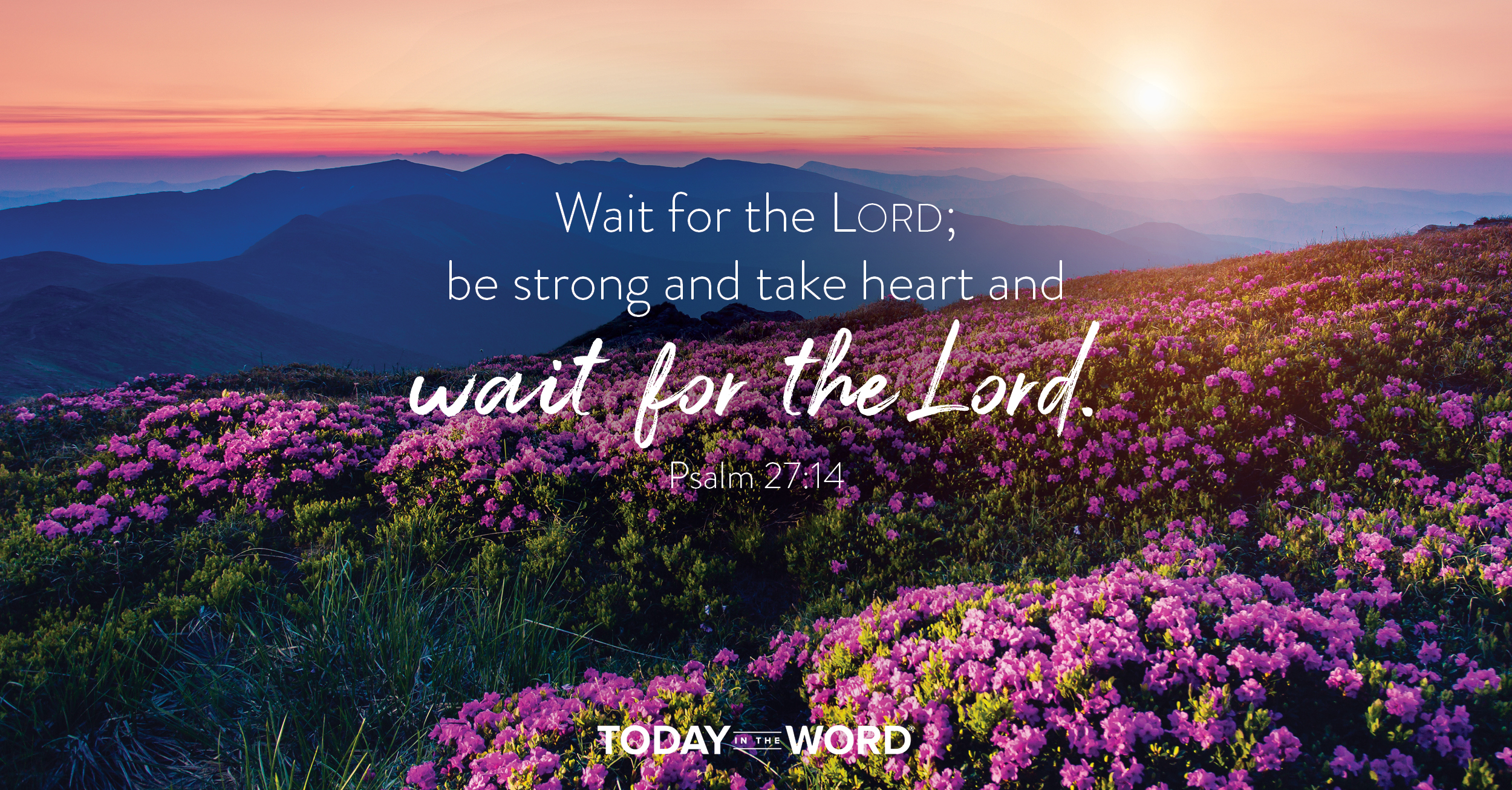 Daily Devotional Bible Verse | Psalm 27:14 Wait for the Lord; be strong and take heart and wait for the Lord.