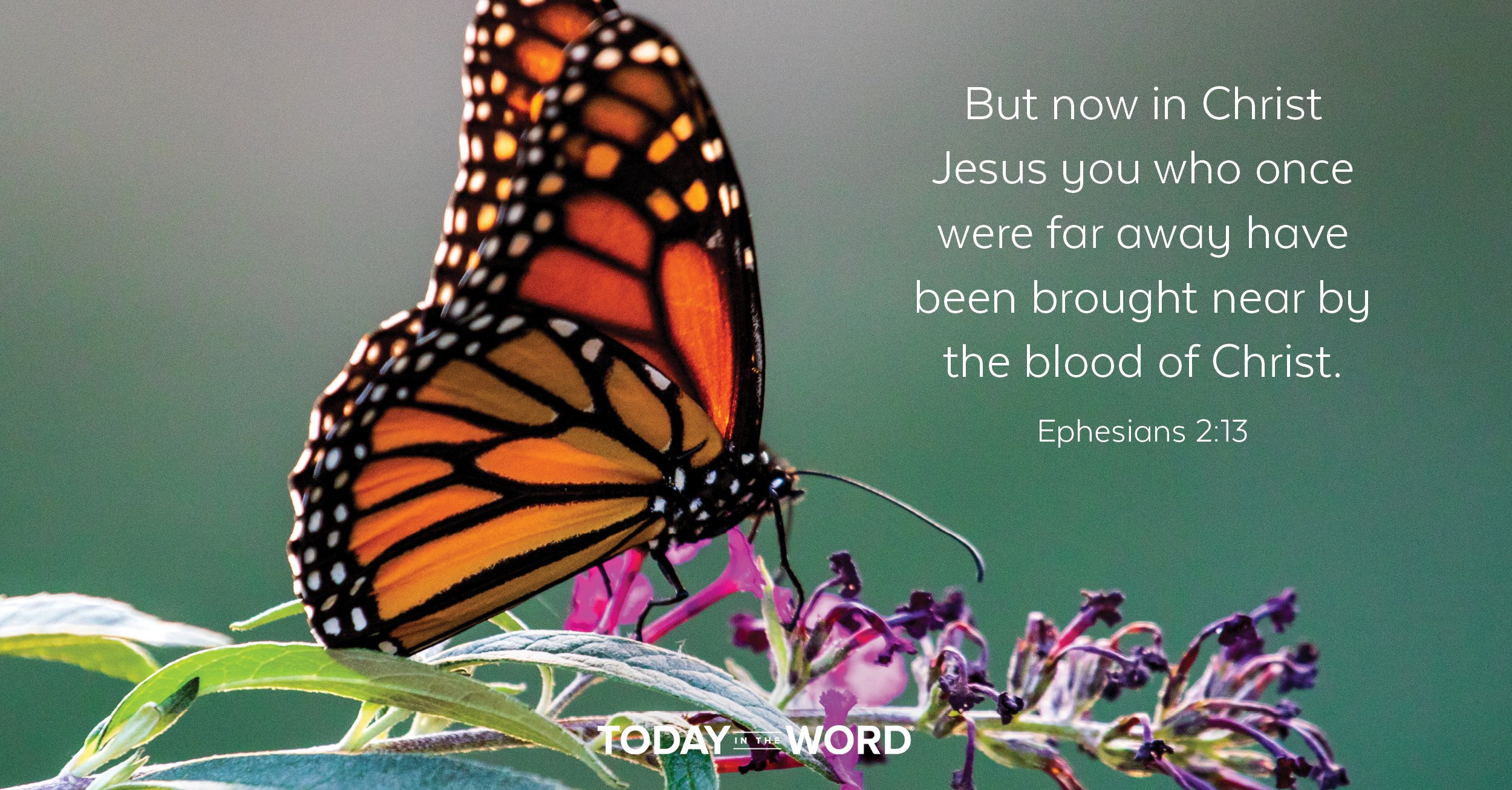 Daily Devotional Bible Verse | Ephesians 2:13 But now in Christ Jesus you who once were far away have been brought near by the blood of Christ.