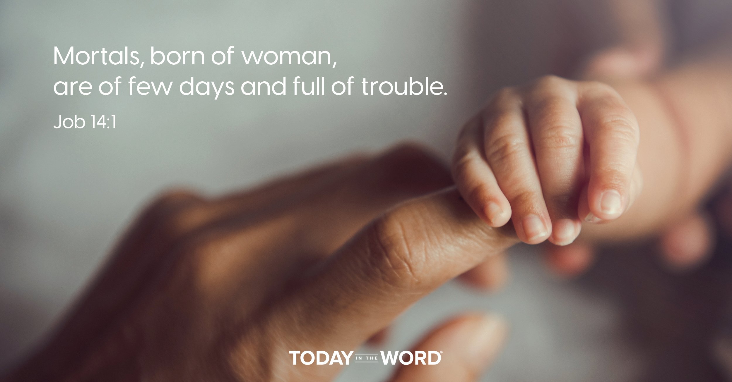 Daily Devotional Bible Verse | Job 14:1 Mortals, born of woman, are of few days and full of trouble.