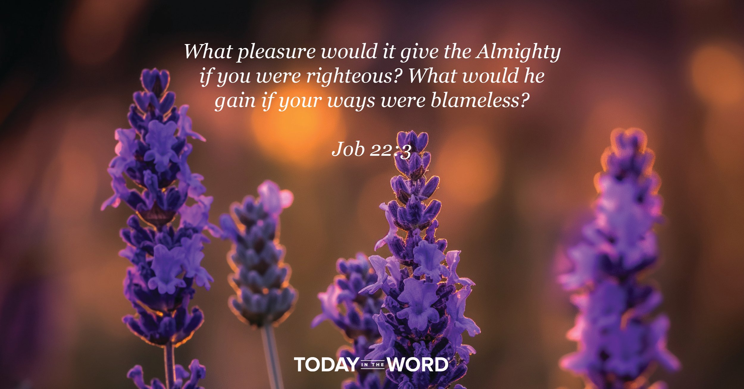 Daily Devotional Bible Verse | Job 22:3 What pleasure would it give the Almighty if you were righteous? What would he gain if your ways were blameless?