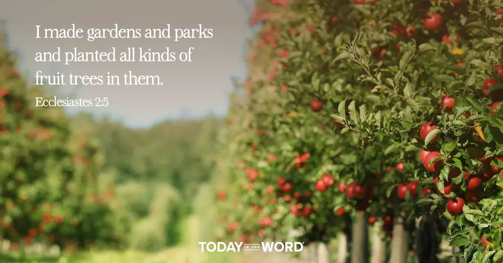 Daily Devotional Bible Verse | Ecclesiastes 2:5 I made gardens and parks and planted all kinds of fruit trees in them.