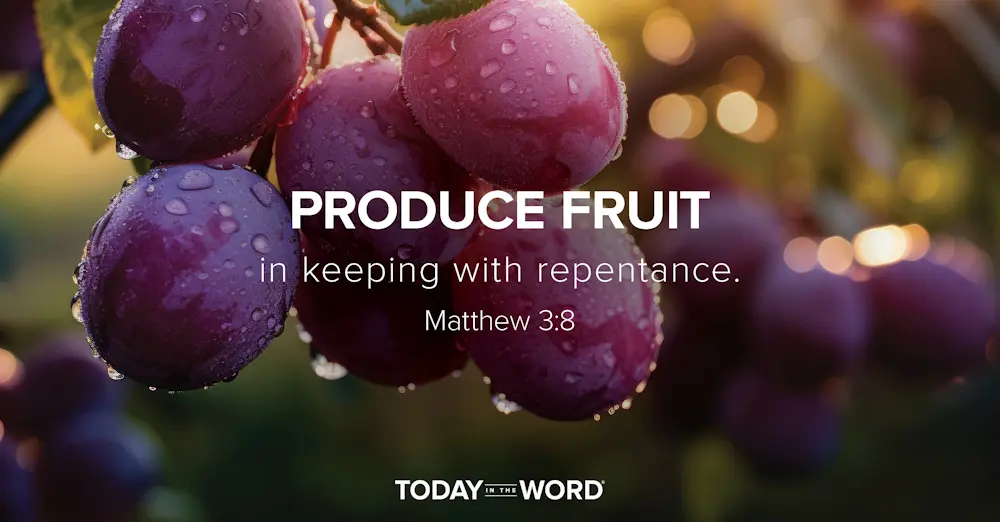 Today's daily devotional Bible verse: Matthew 3:8 Produce fruit in keeping with repentance | dew drops on grapes on a vine.