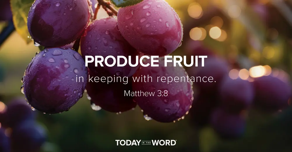 Today's daily devotional Bible verse: Matthew 3:8 Produce fruit in keeping with repentance | dew drops on grapes on a vine.