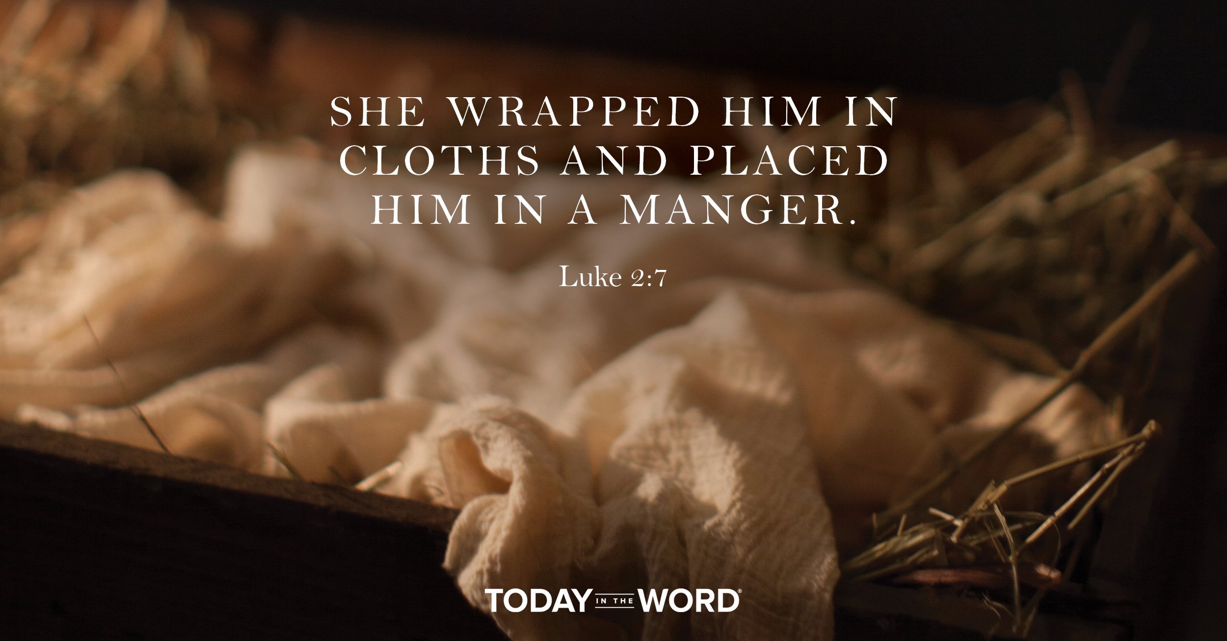 Today's daily devotional Bible verse: Luke 2:7 She wrapped Him in cloths and placed Him in a manger.