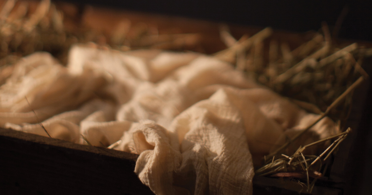 Today's daily devotional Bible verse: Luke 2:7 She wrapped Him in cloths and placed Him in a manger.