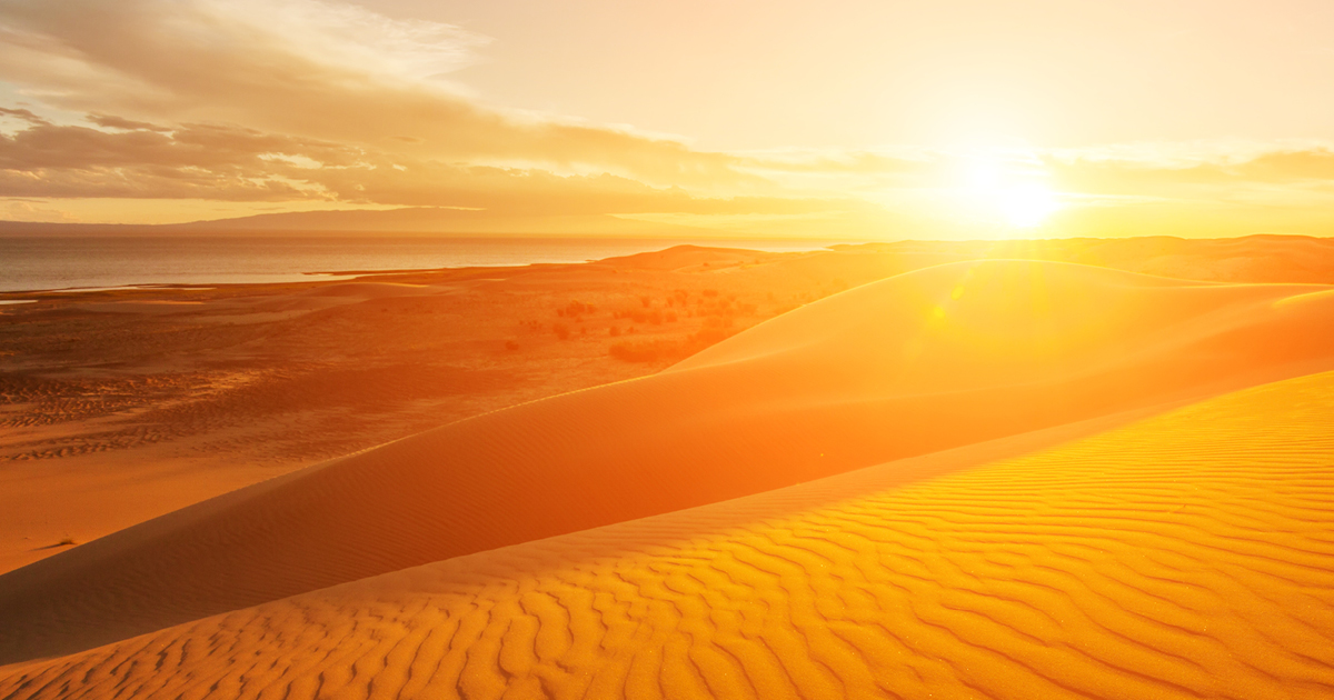 Today's daily devotional | Sun rising on the desert sand.