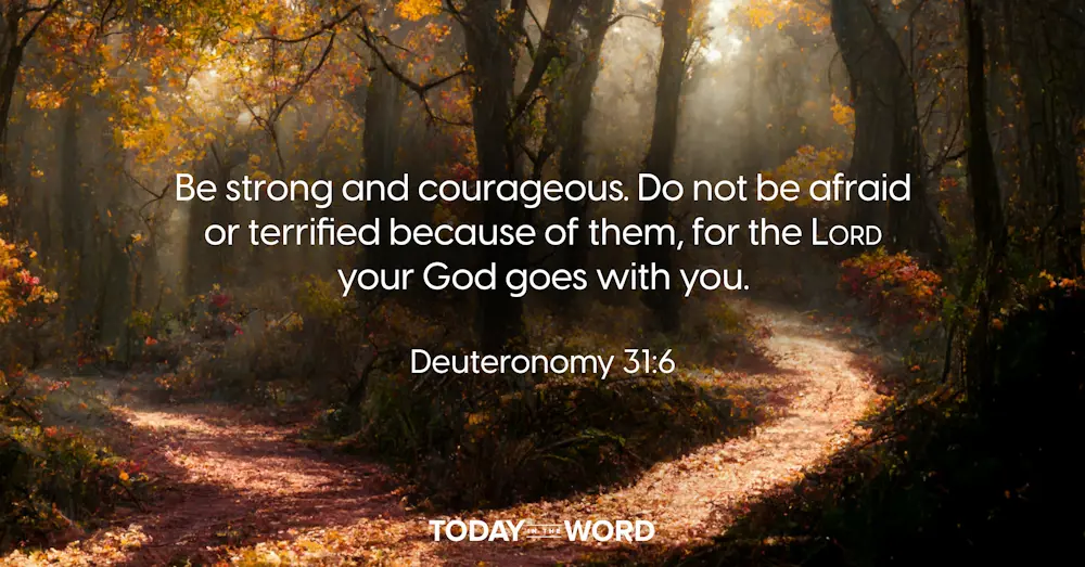 Today's daily devotional Bible verse: Deuteronomy 31:6 Be strong and courageous. Do not be afraid or terrified because of them, for the LORD your God goes with you. | Fork in a trail through the woods.