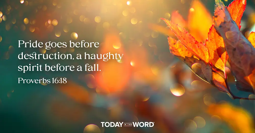 Today's daily devotional Proverbs 16:18 Pride goes before destruction, a haughty spirit before a fall. | Fall leaves in the sun.