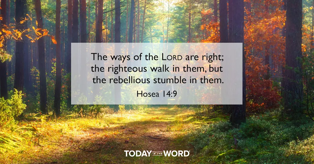 Daily devotional Bible verse: Hosea 14:9 The ways of the LORD are right; the righteous walk in them, but the rebellious stumble in them. | A woods in fall colors.