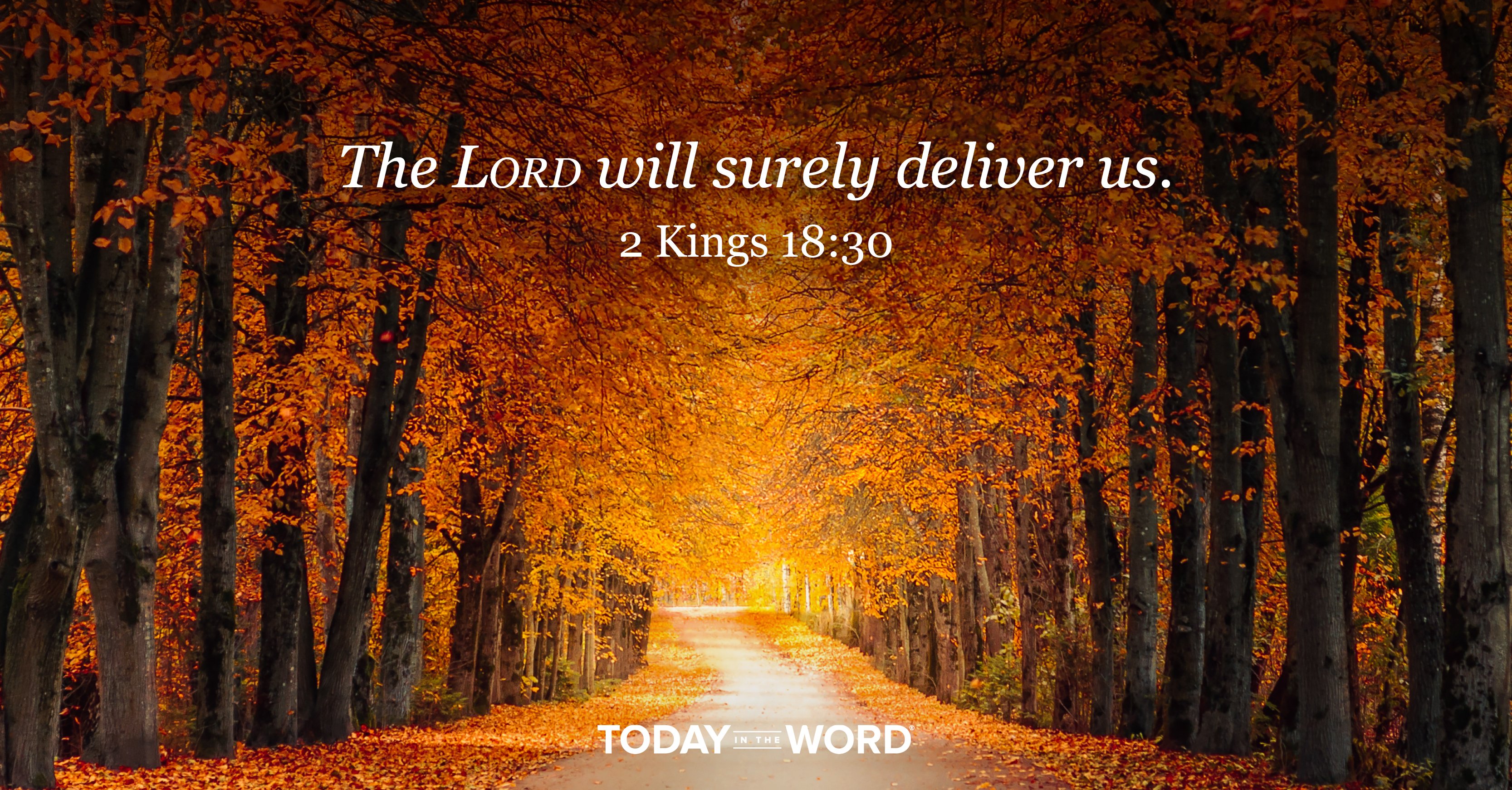 Daily devotional Bible Verse 2 Kings 18:30 The LORD will surely deliver us. | A woods in fall colors.