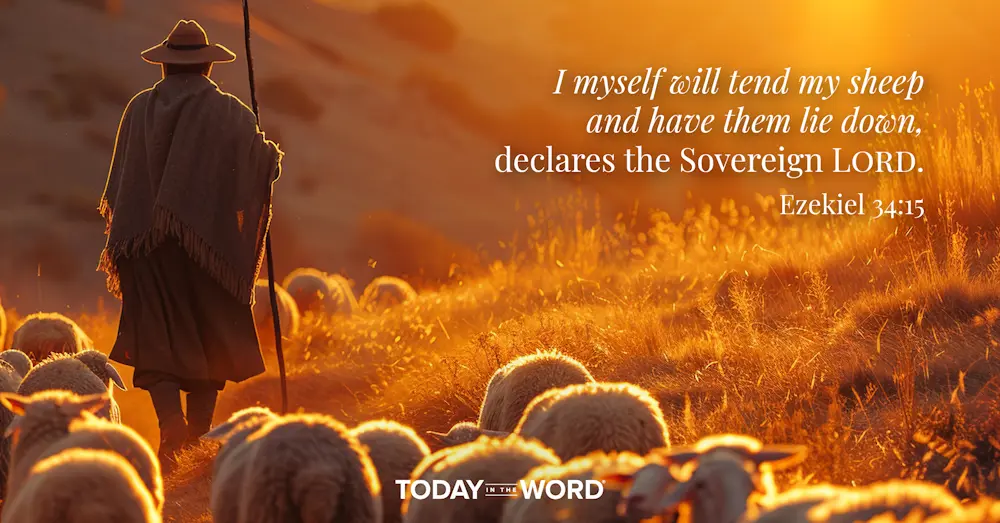 Daily devotional Bible verse: Ezekiel 34:15 I myself will tend my sheep and have them lie down, declares the Sovereign LORD. | A shephard leading a herd of sheep on a hillside. 